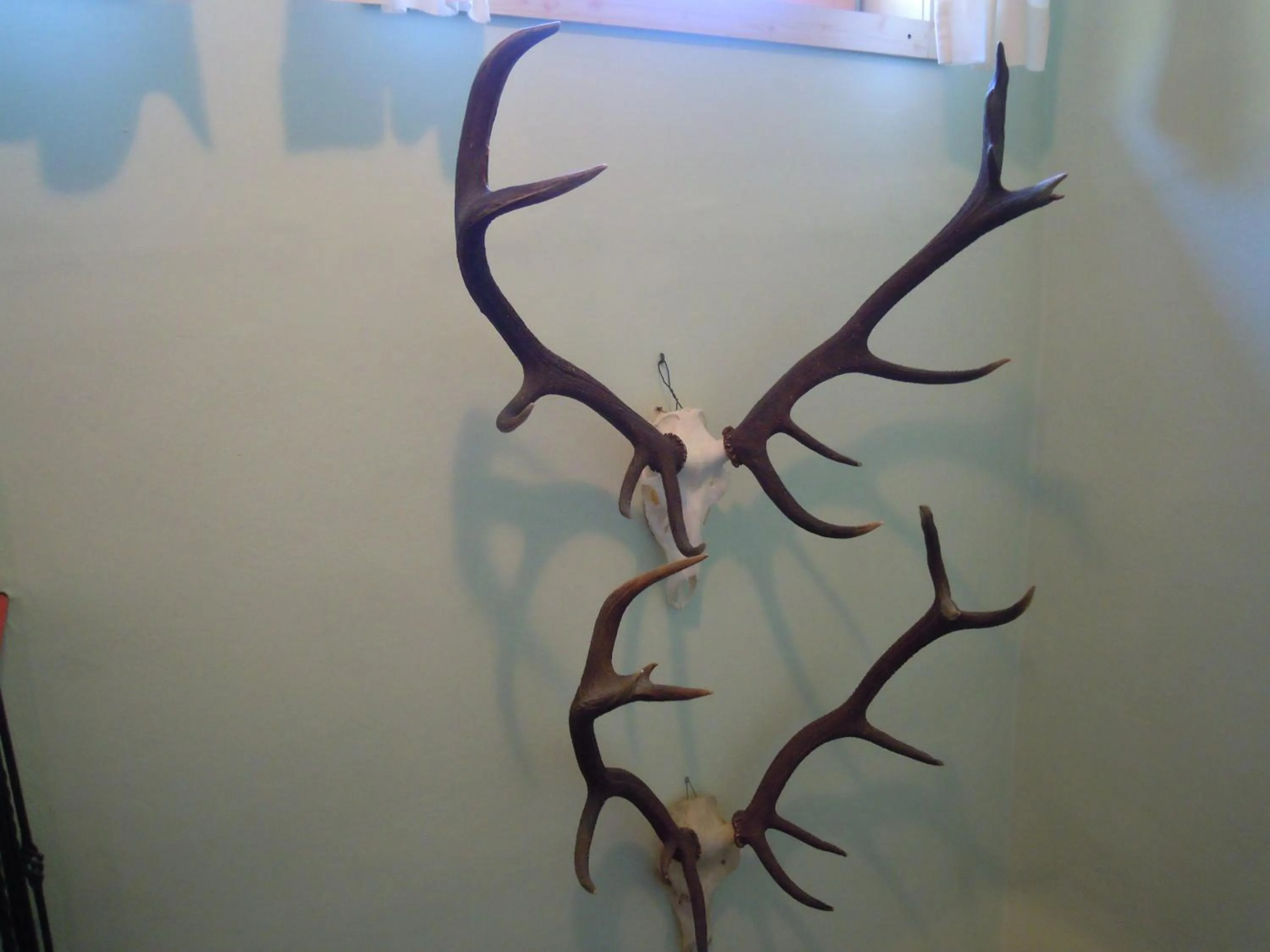 Decorative detail in Pension Herzoggut