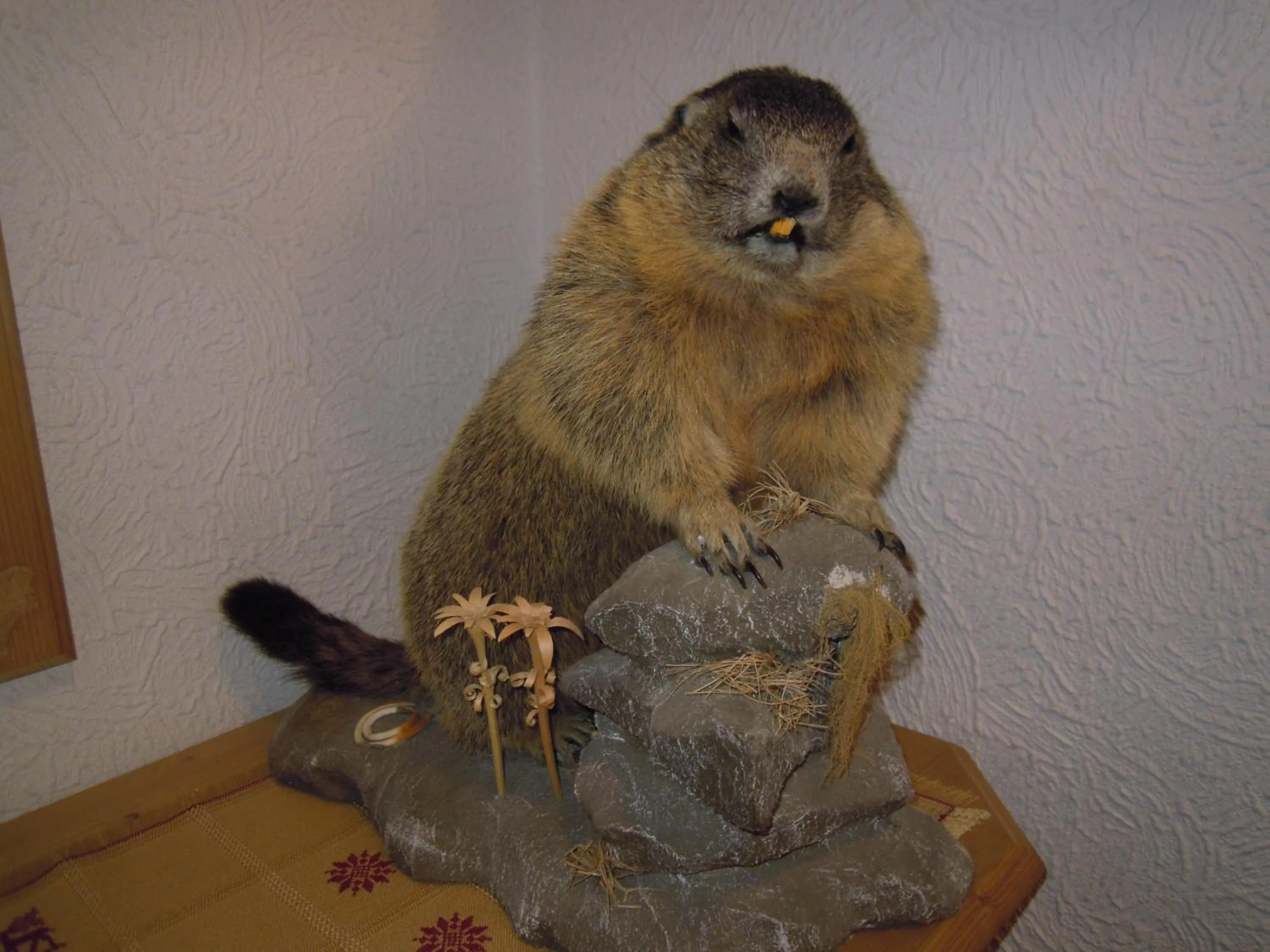 Decorative detail in Pension Herzoggut