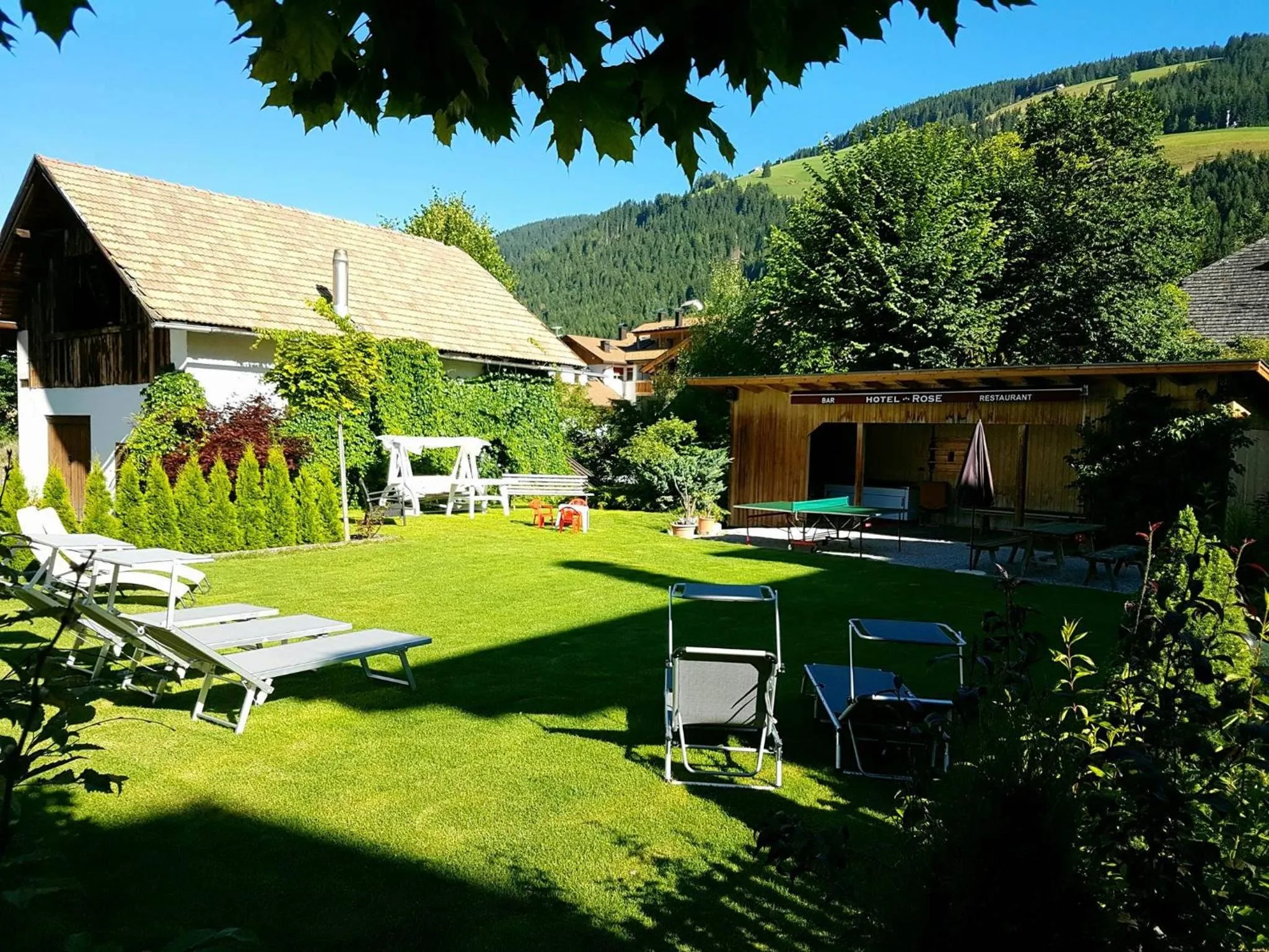 Garden view in Hotel Rose