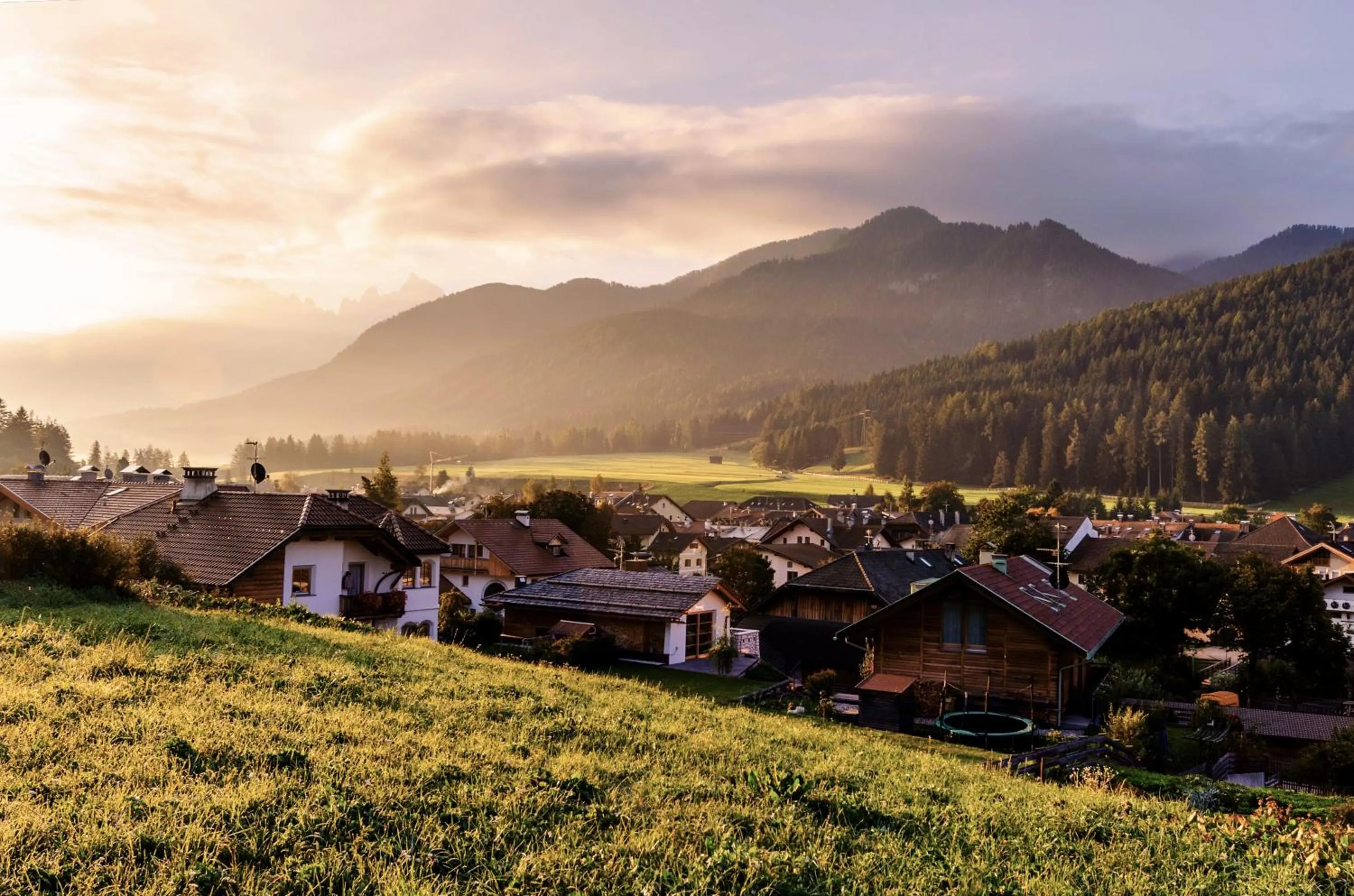 Natural landscape in Hotel Rose