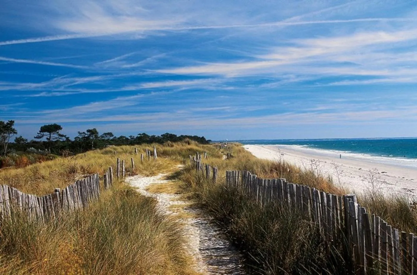 Natural landscape in Hôtel de la Pointe de Mousterlin