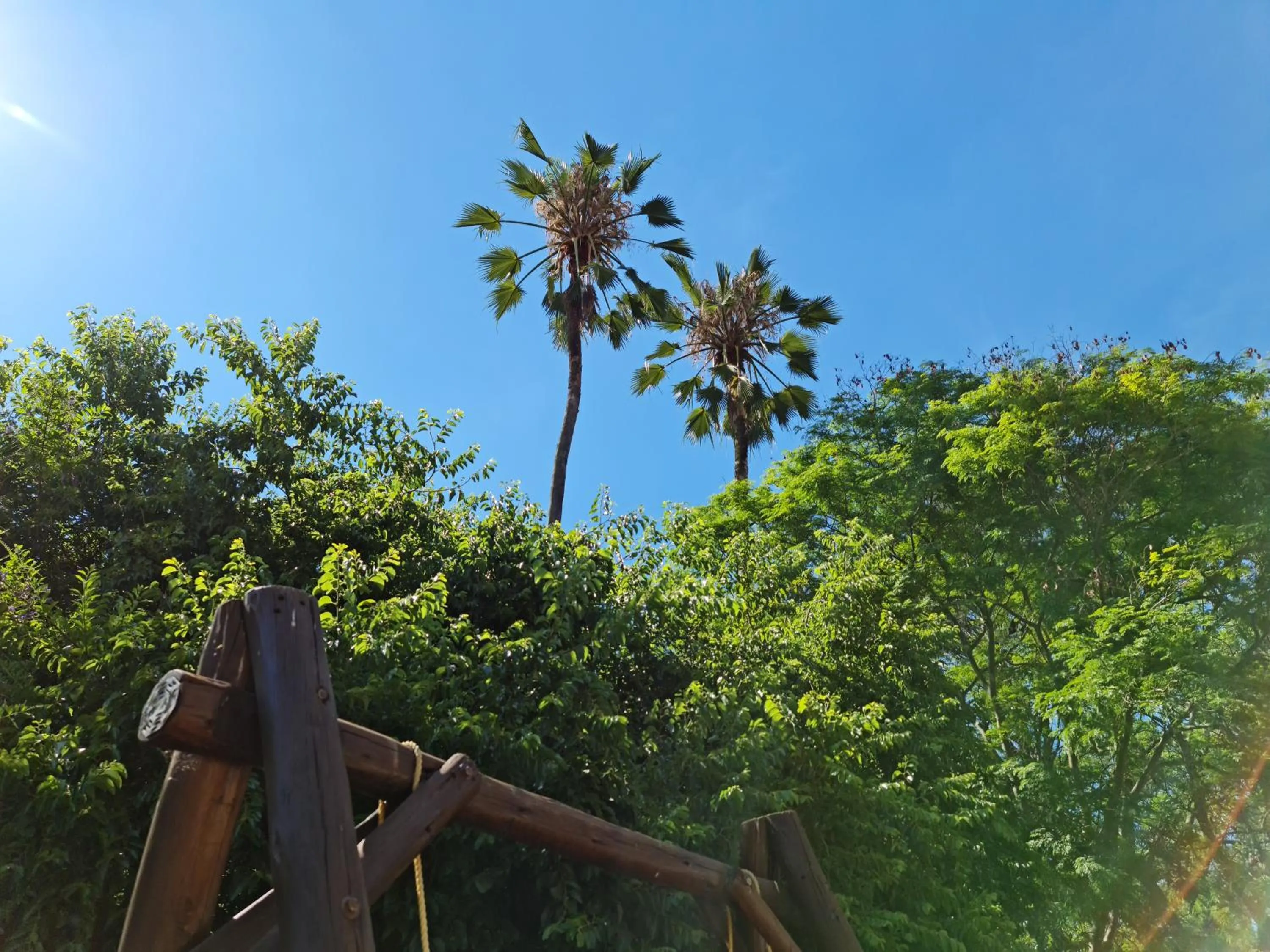Children play ground in Peaches & Cream Bed & Breakfast
