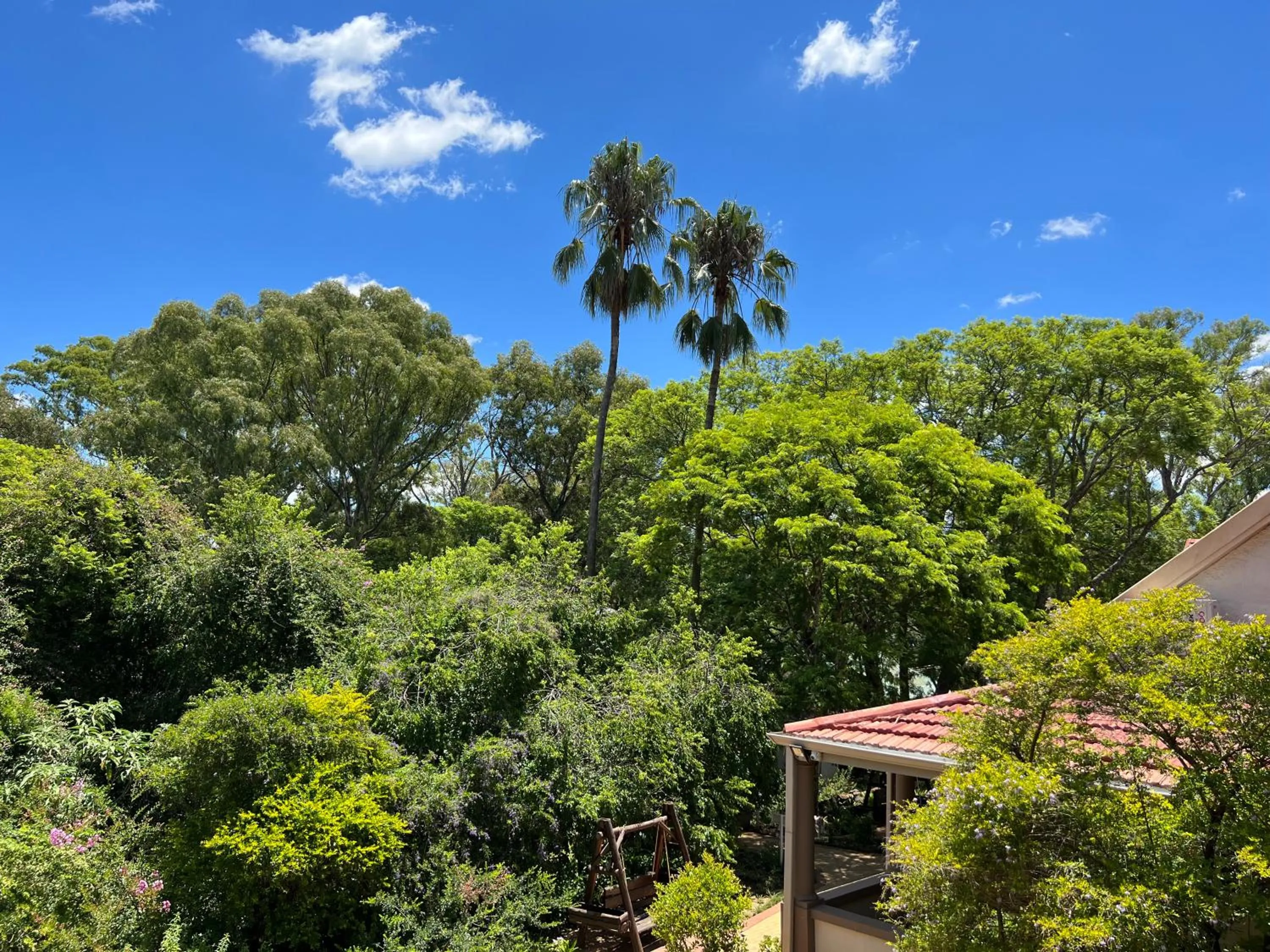 Garden view in Peaches & Cream Bed & Breakfast