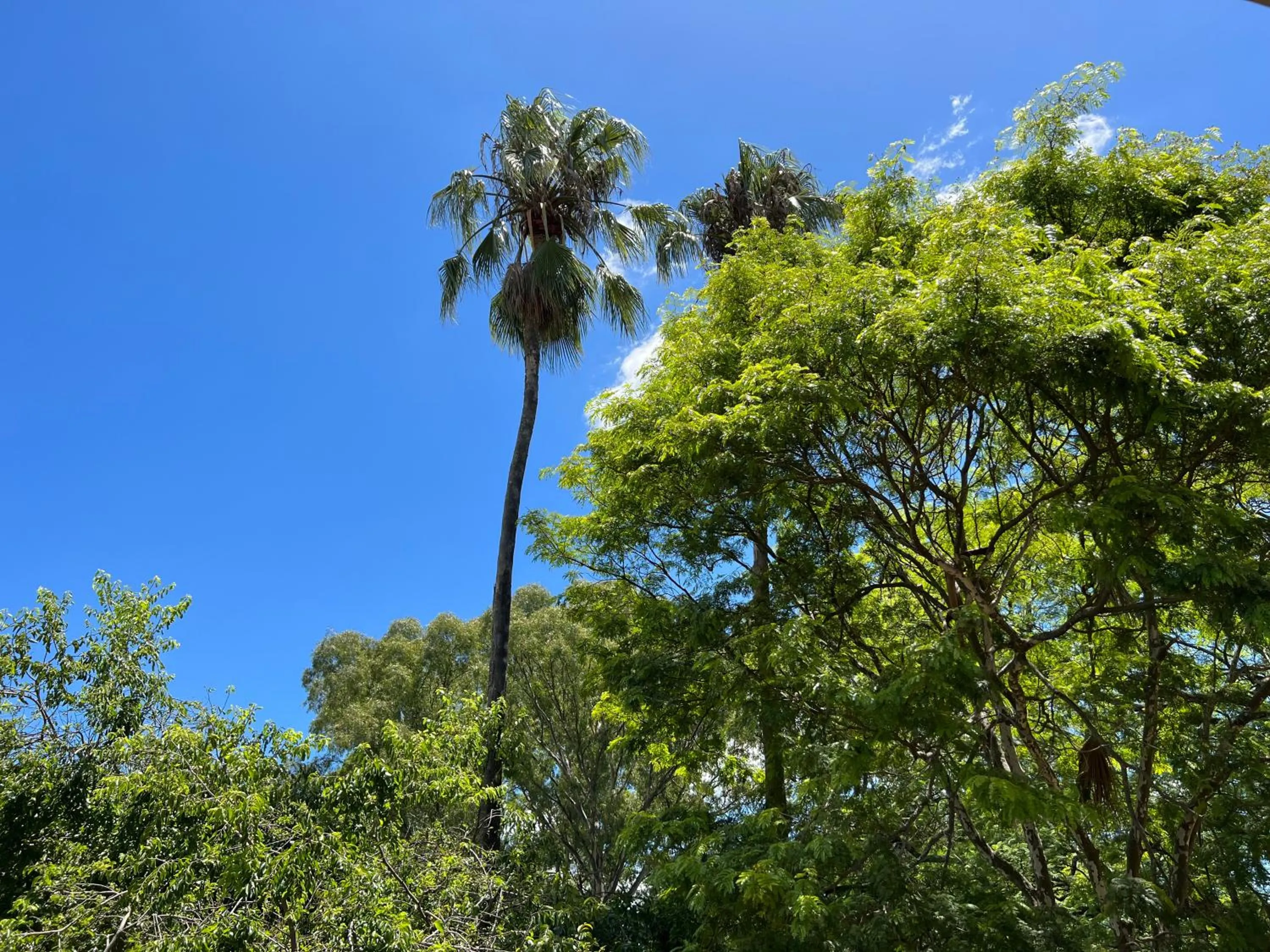 Garden in Peaches & Cream Bed & Breakfast