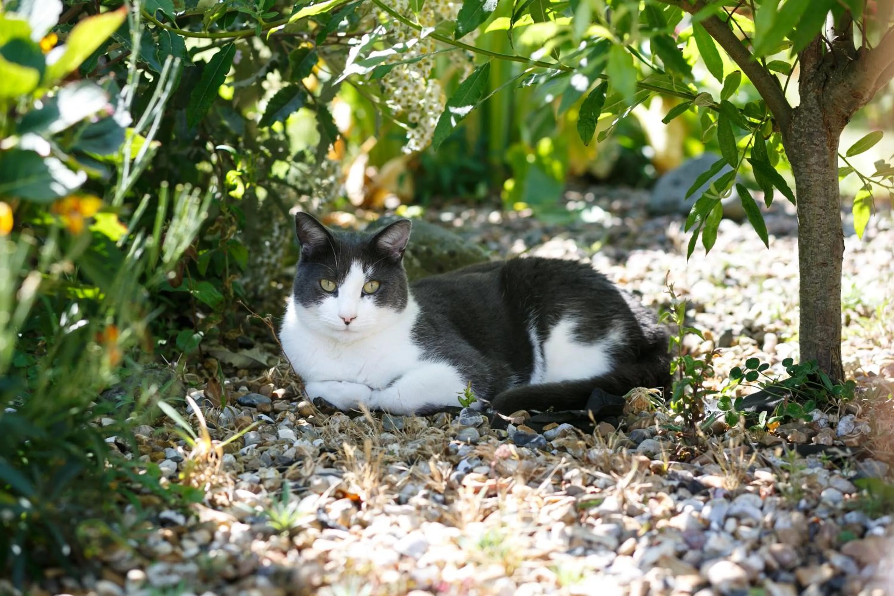 Other in Margaret's Cottage B&B