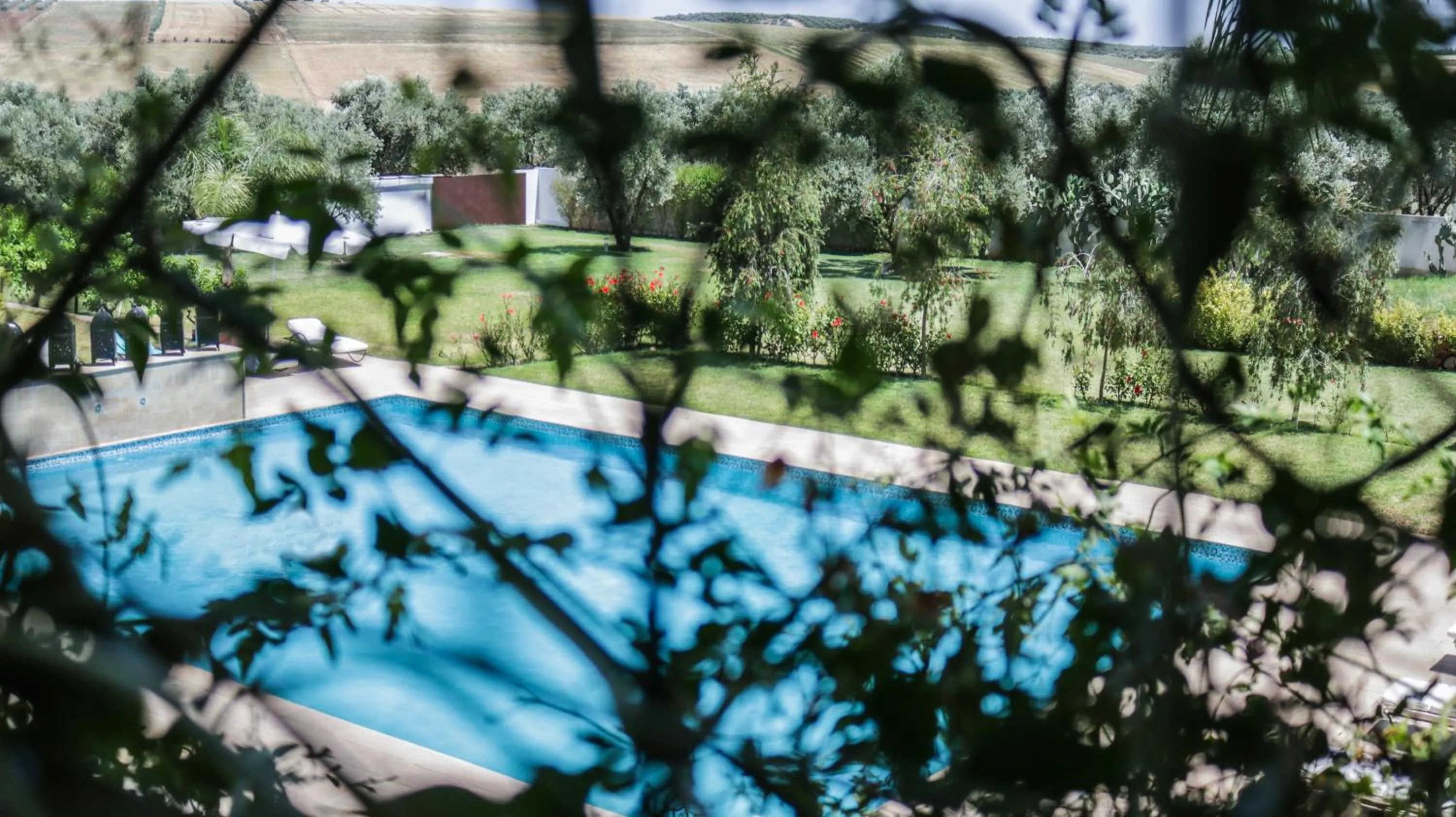 Garden in Villa Agapanthe