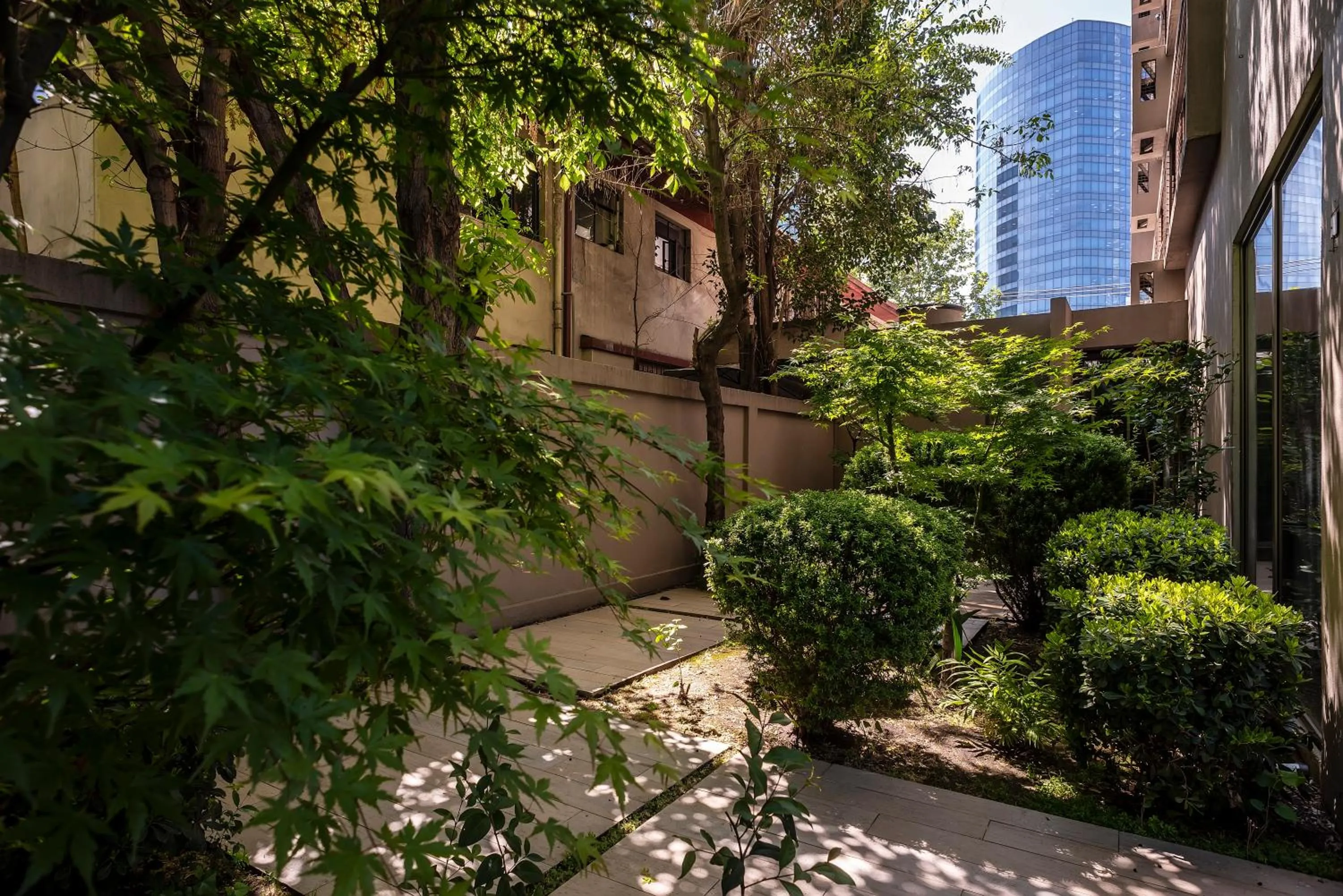 Garden in Hotel Los Españoles Plus