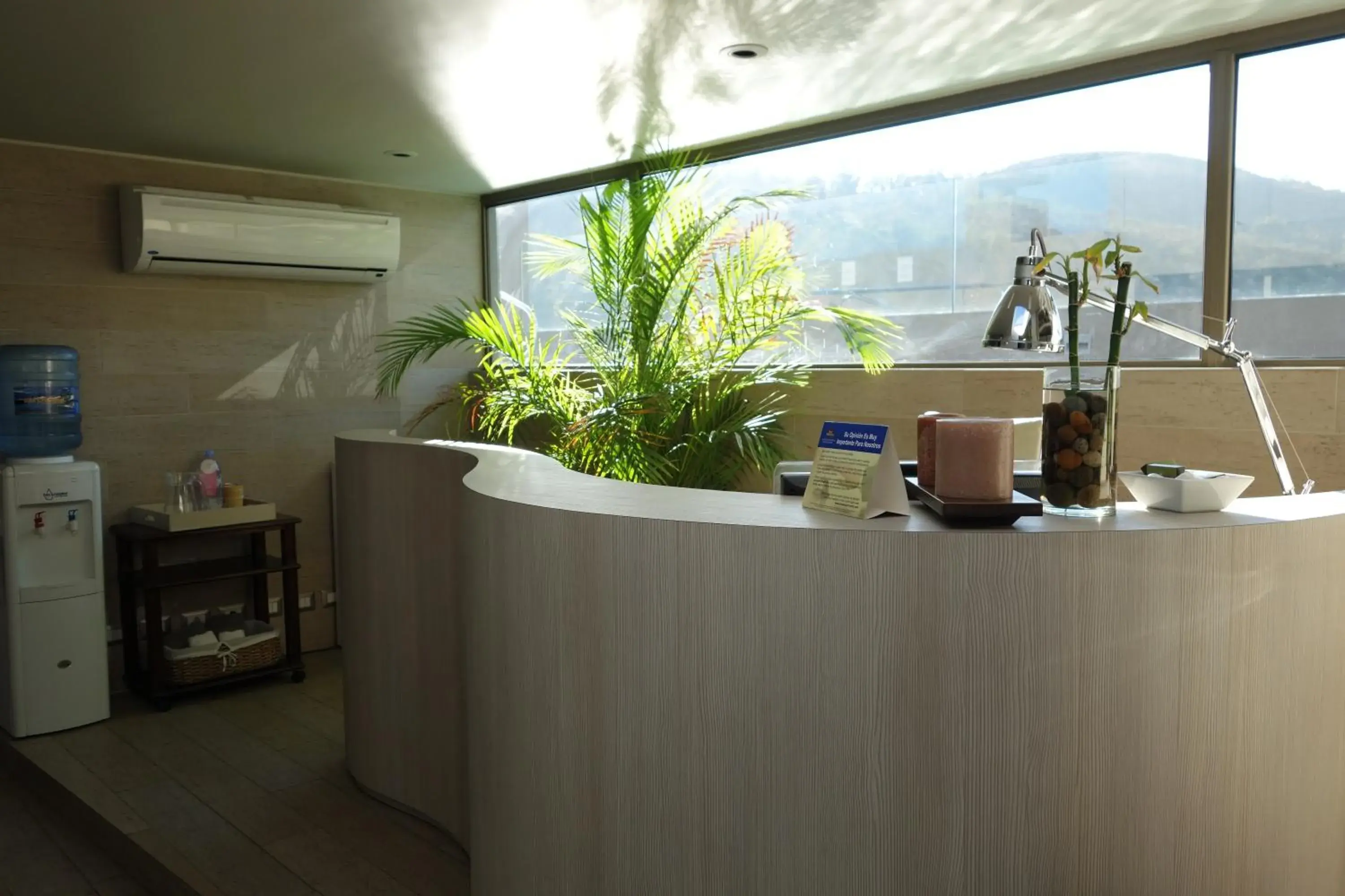 Lobby or reception in Hotel Los Españoles Plus Lobby or reception in Hotel Los Españoles Plus