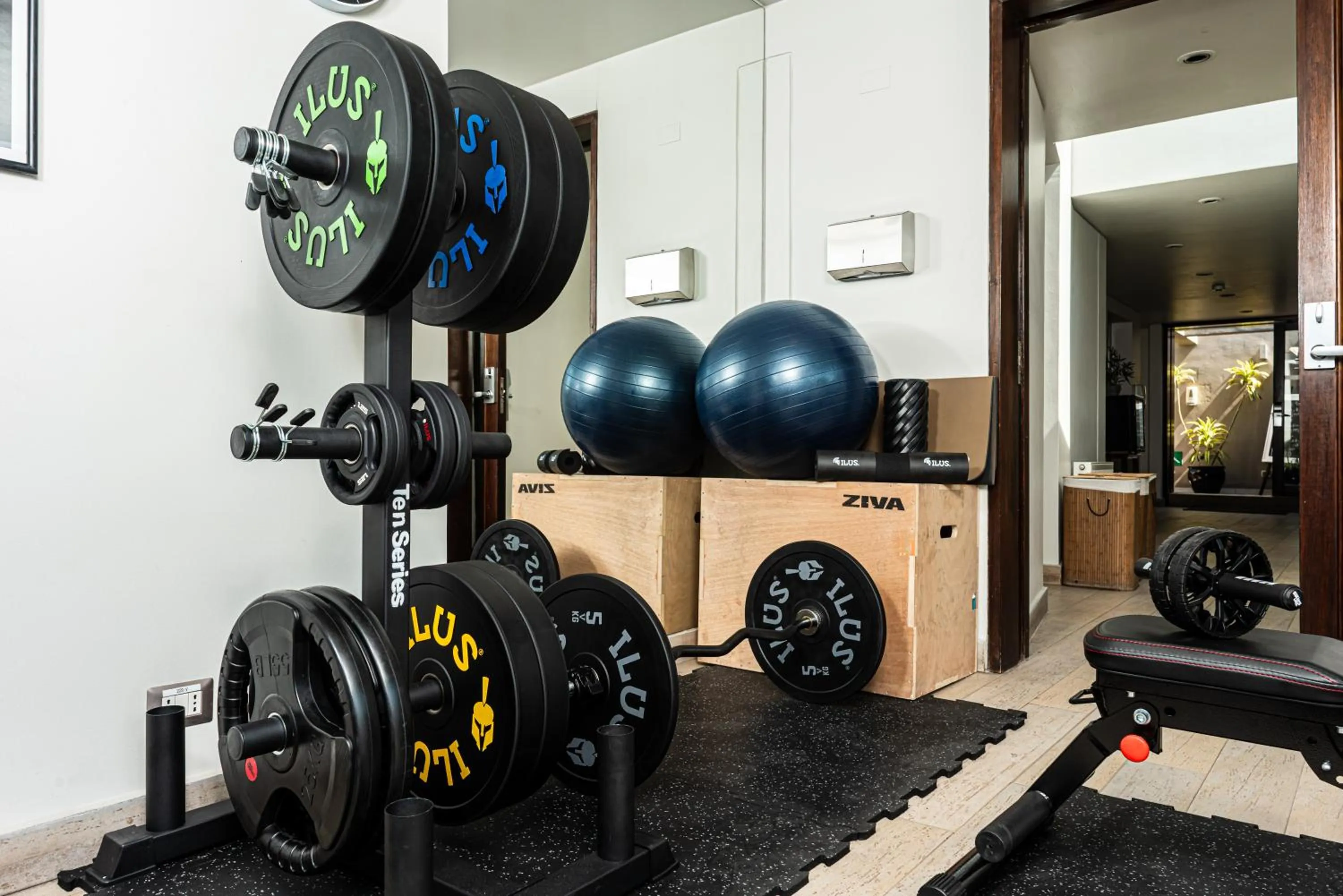 Fitness centre/facilities in Hotel Los Españoles Plus