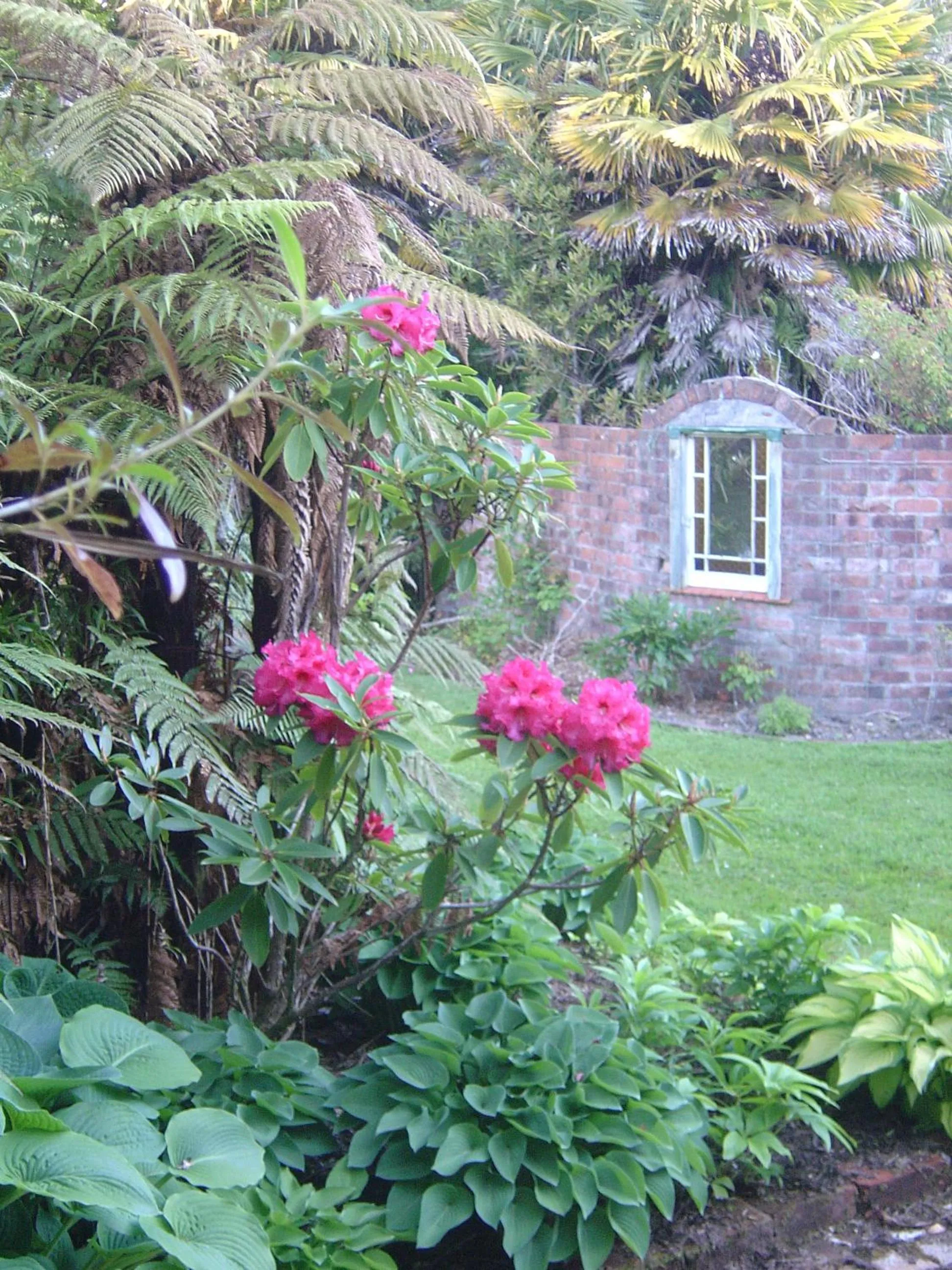 Spring in Awatuna Homestead