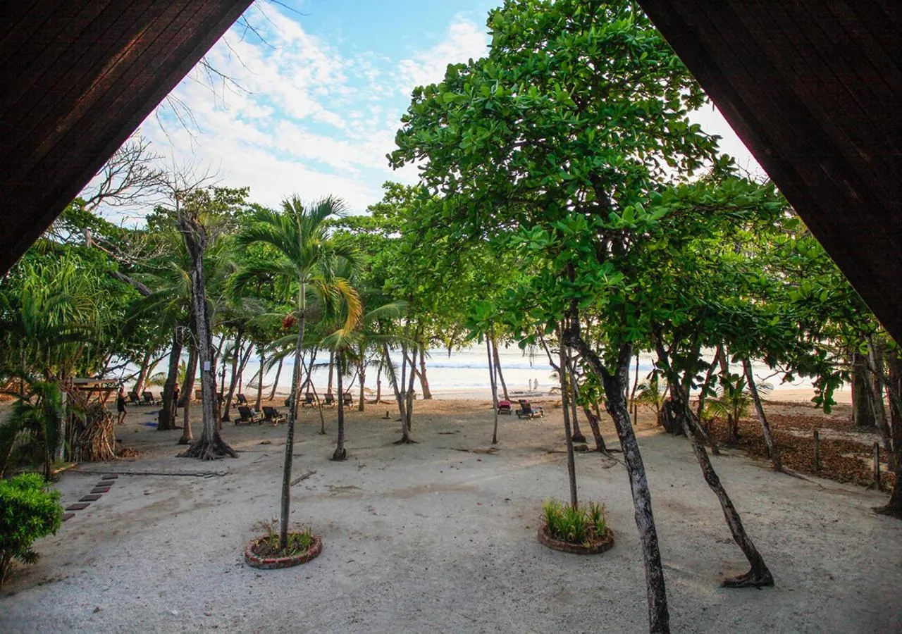 Sea view in Casa Cecilia Beach Front