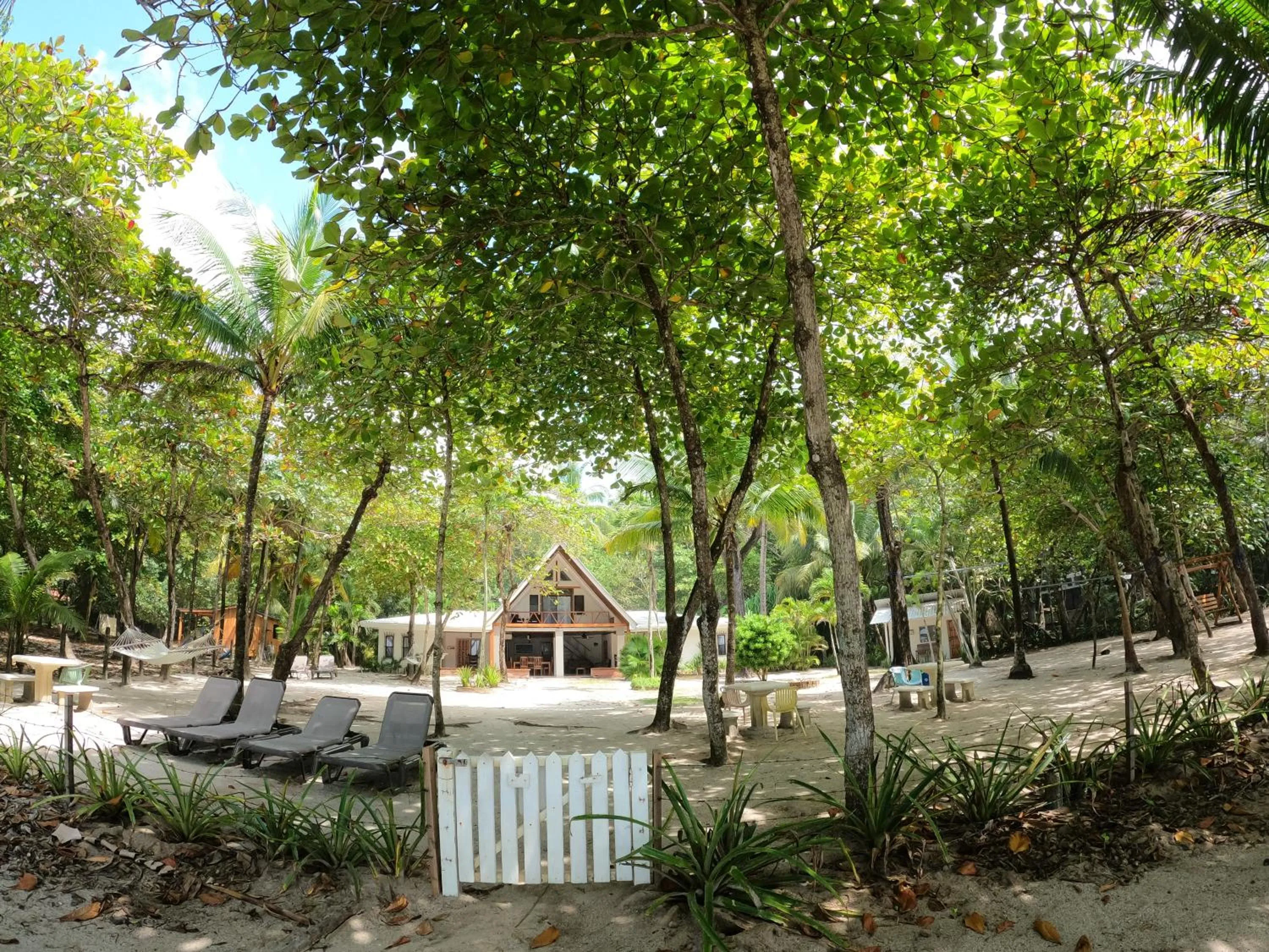 Natural landscape in Casa Cecilia Beach Front