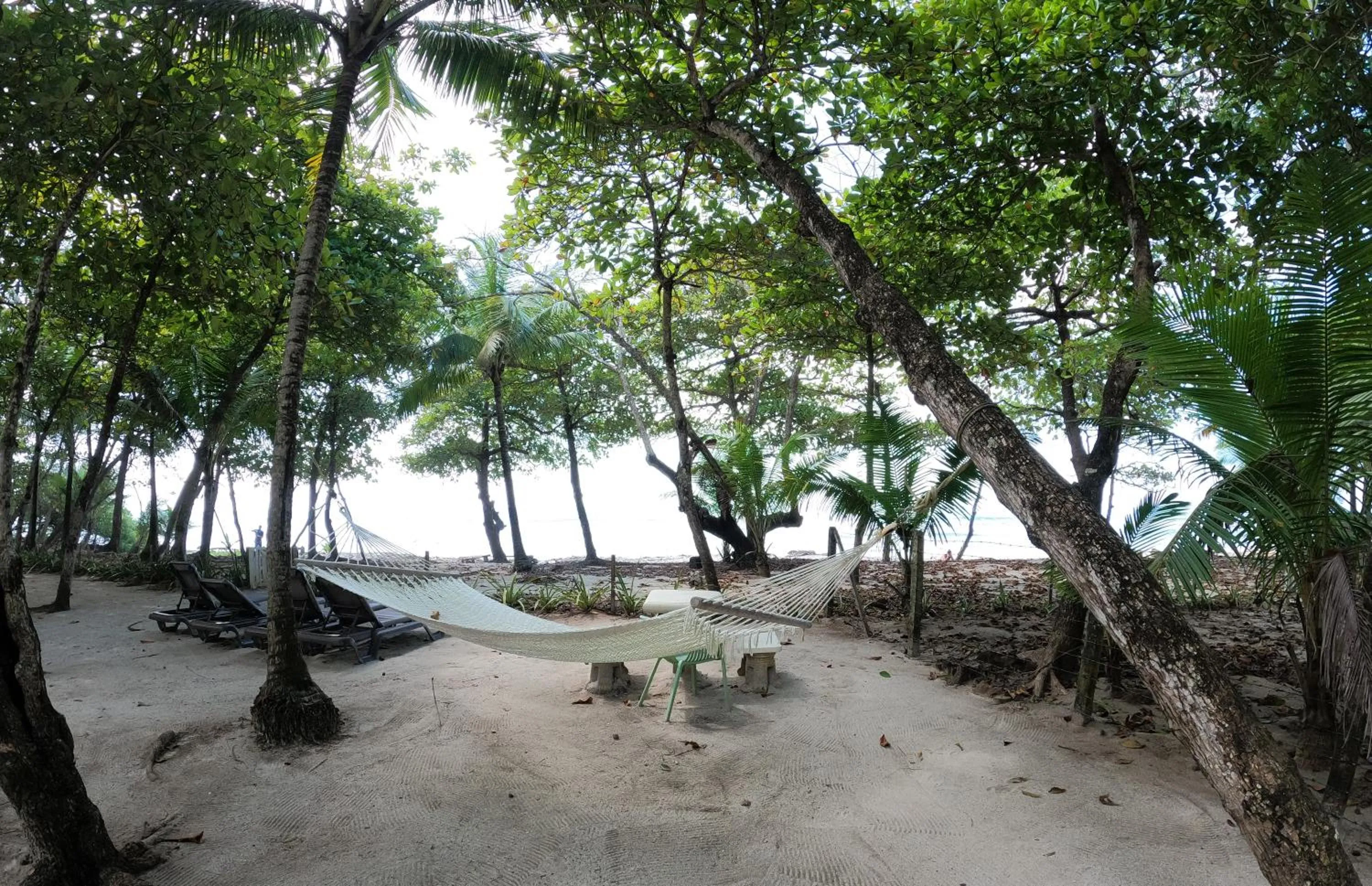 Sea view in Casa Cecilia Beach Front