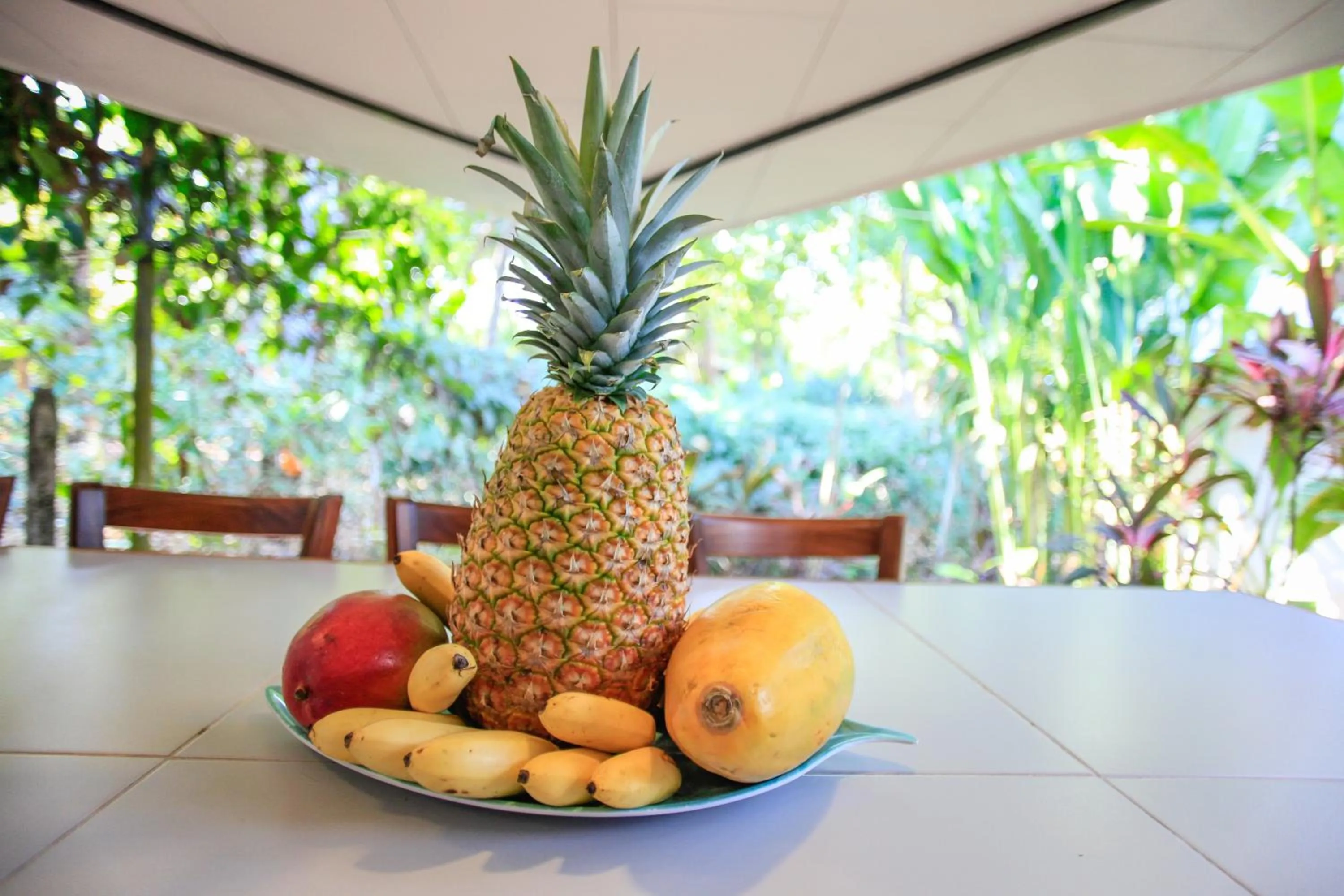 Day in Casa Cecilia Beach Front