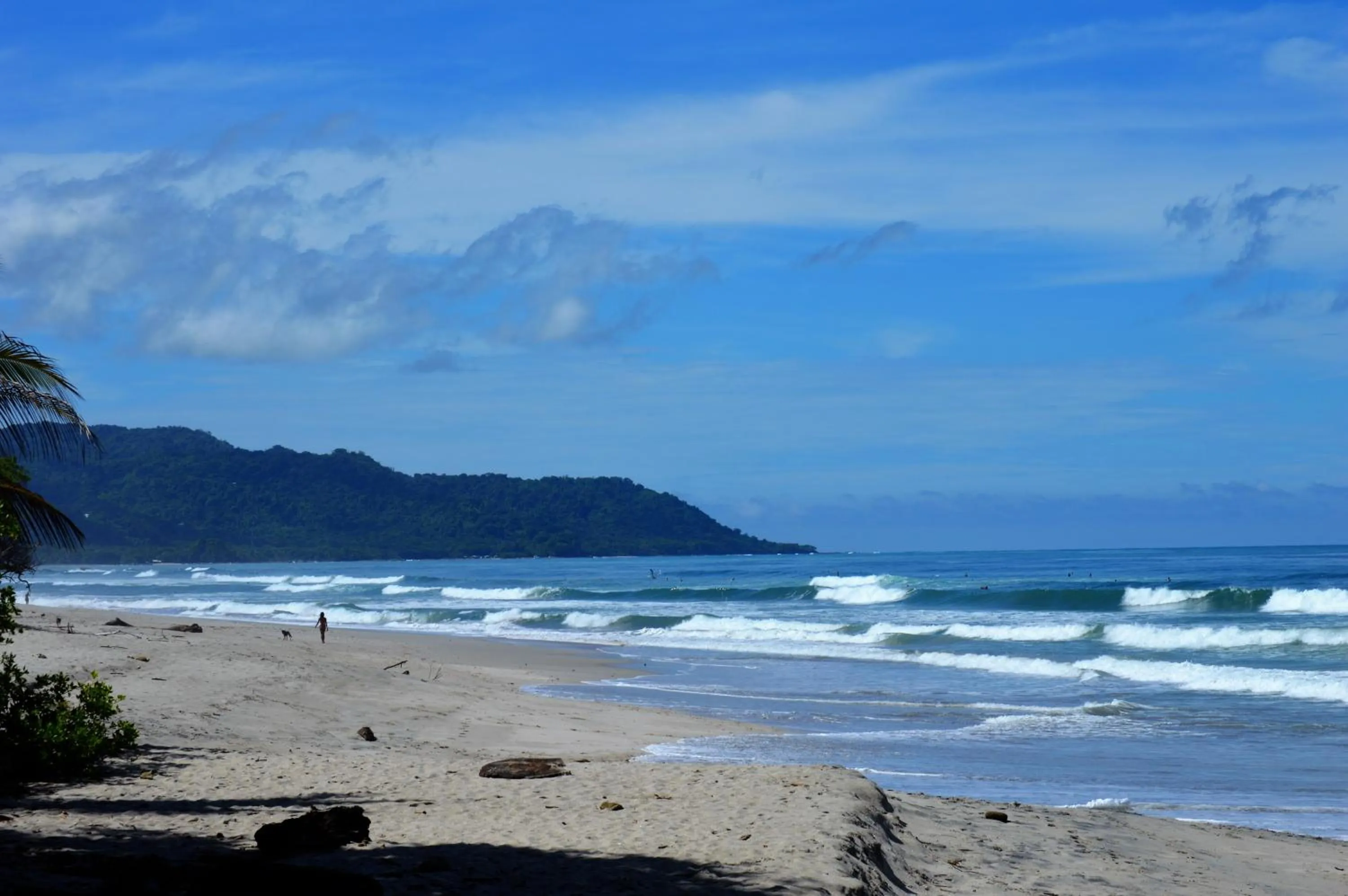 Beach in Casa Cecilia Beach Front