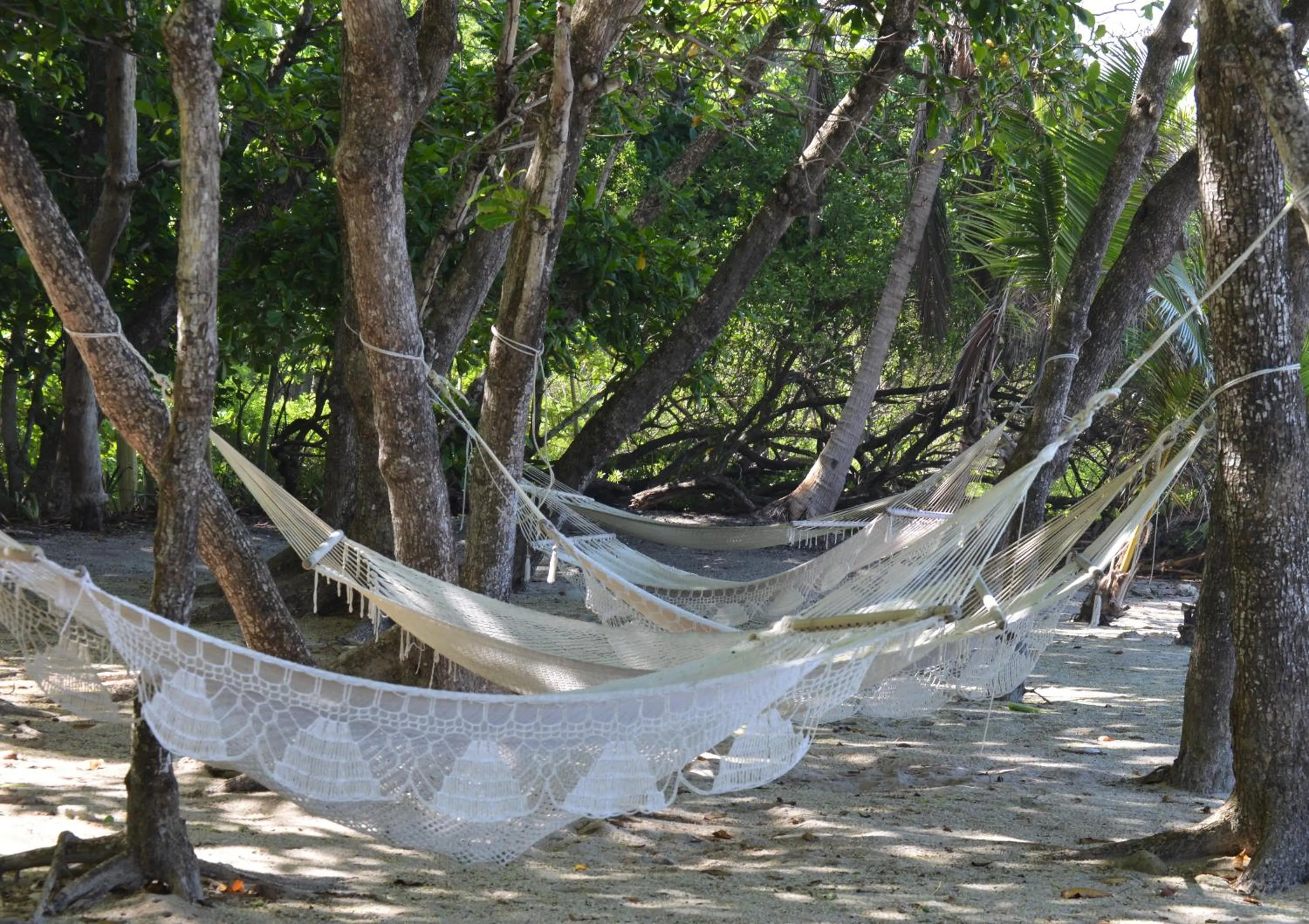 Beach in Casa Cecilia Beach Front