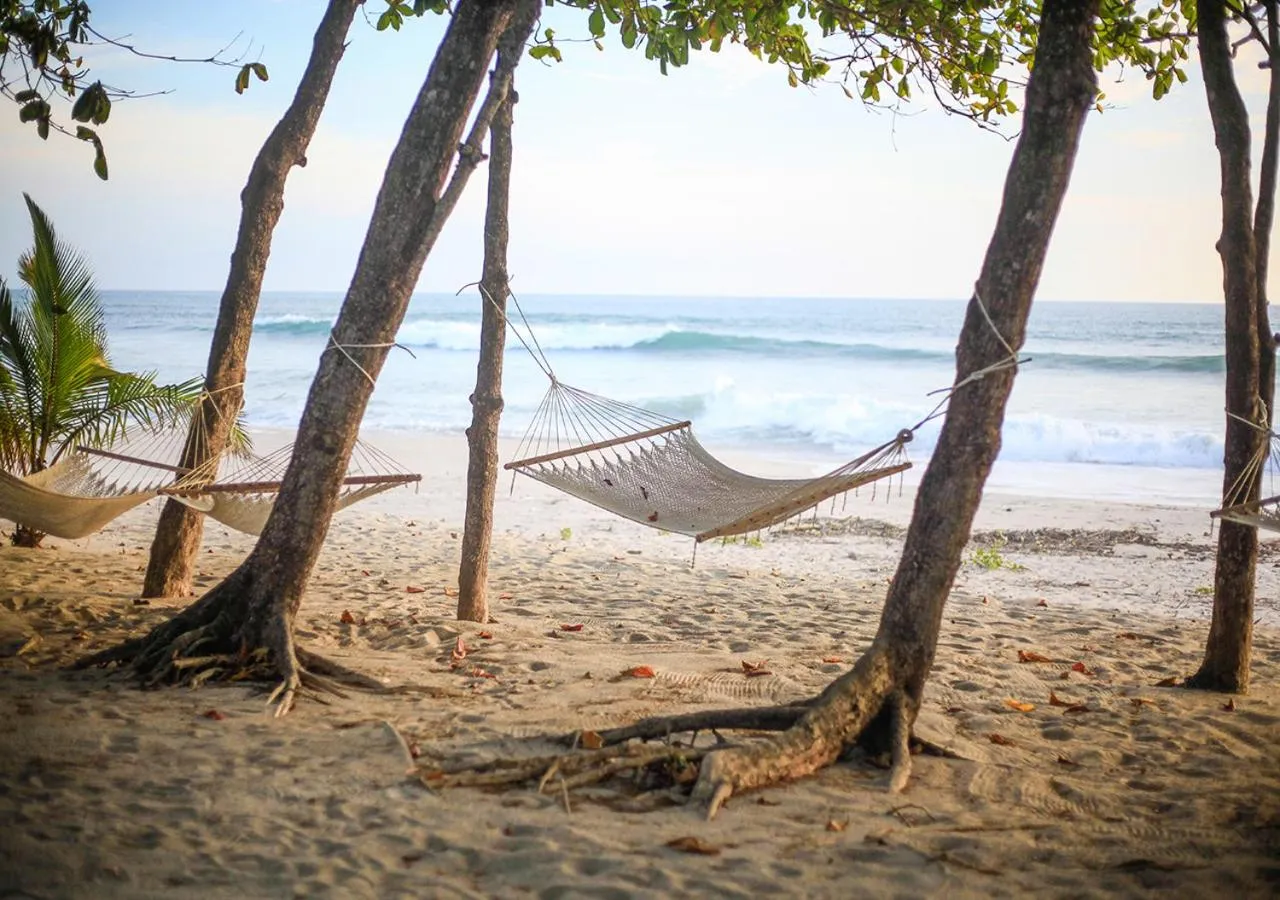 sunbed in Casa Cecilia Beach Front