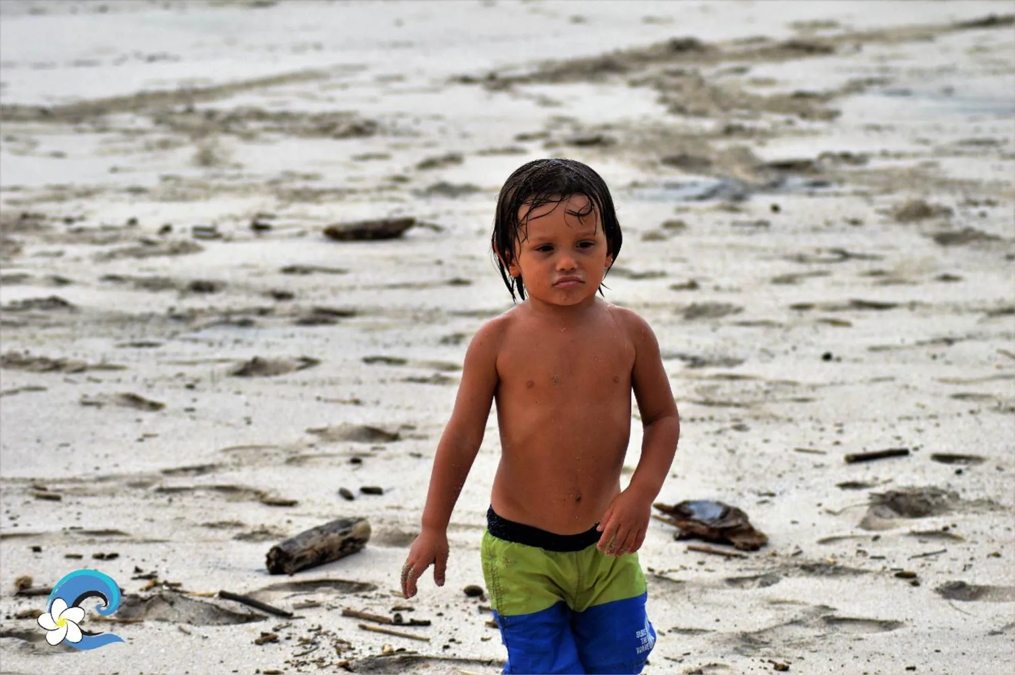 People in Casa Cecilia Beach Front