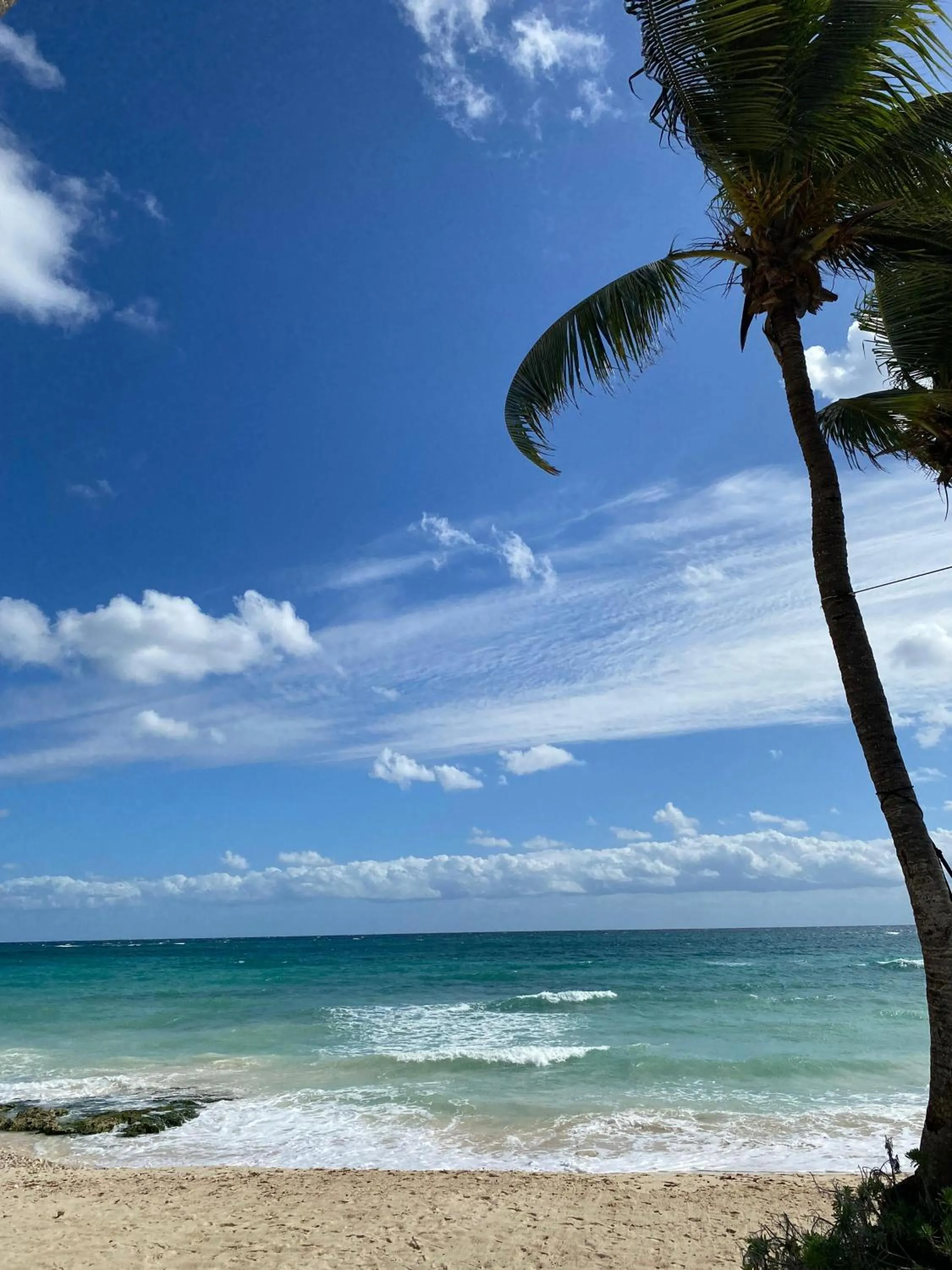 Beach in Sunset House