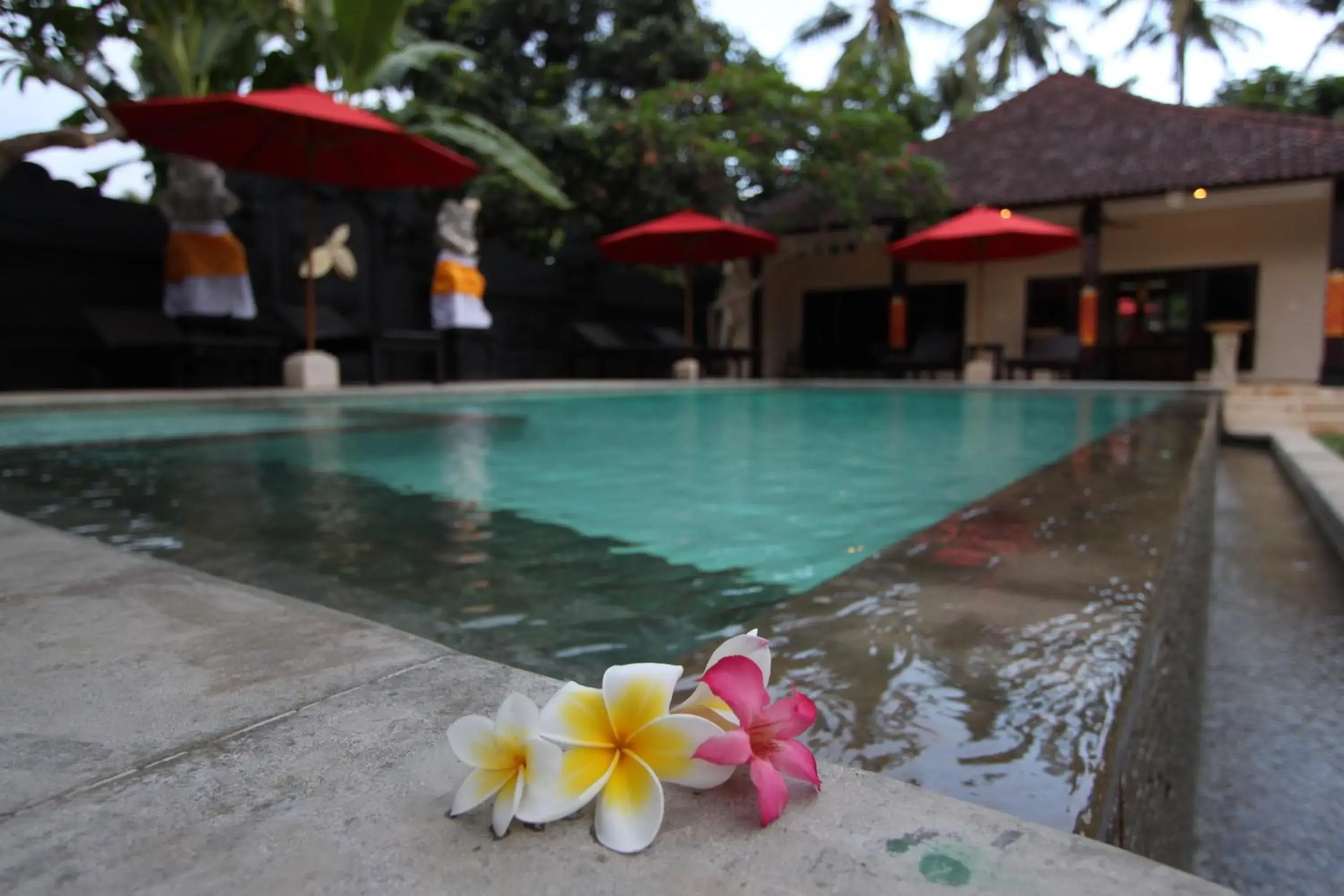 Swimming pool in Hotel Melamun Swimming pool in Hotel Melamun