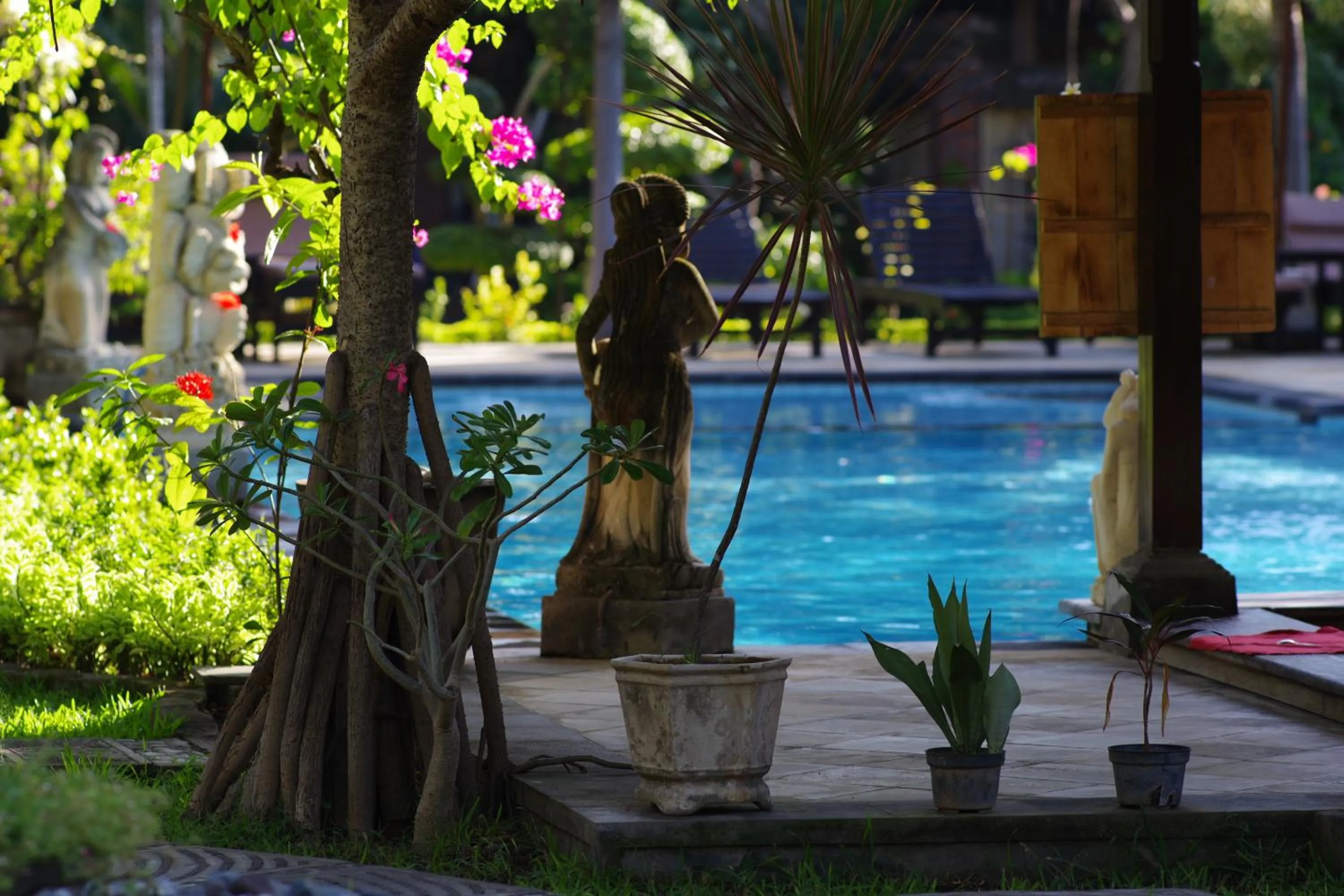 Swimming pool in Tirta Sari Bungalow