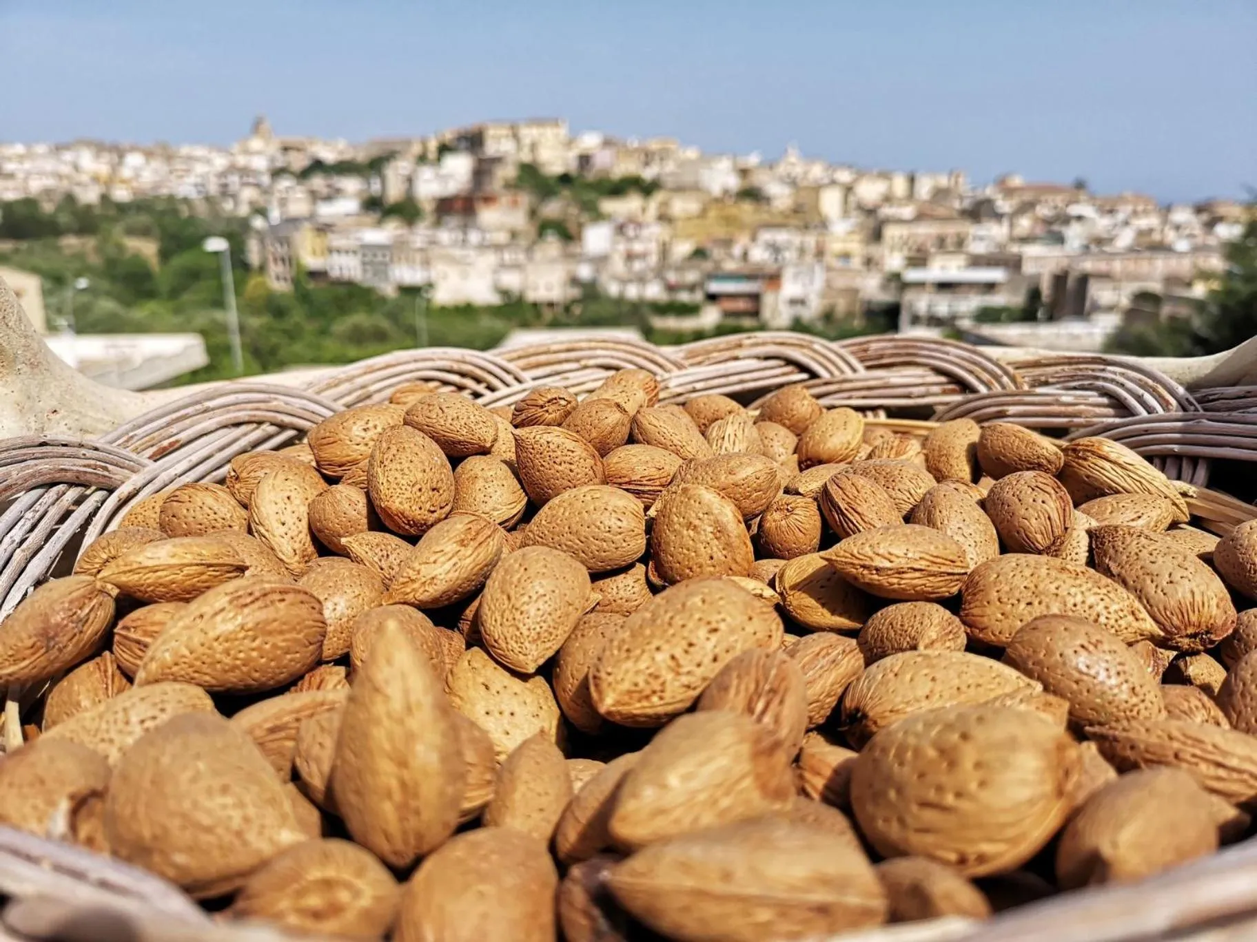 Photo of the whole room in Villa Ambra B&B