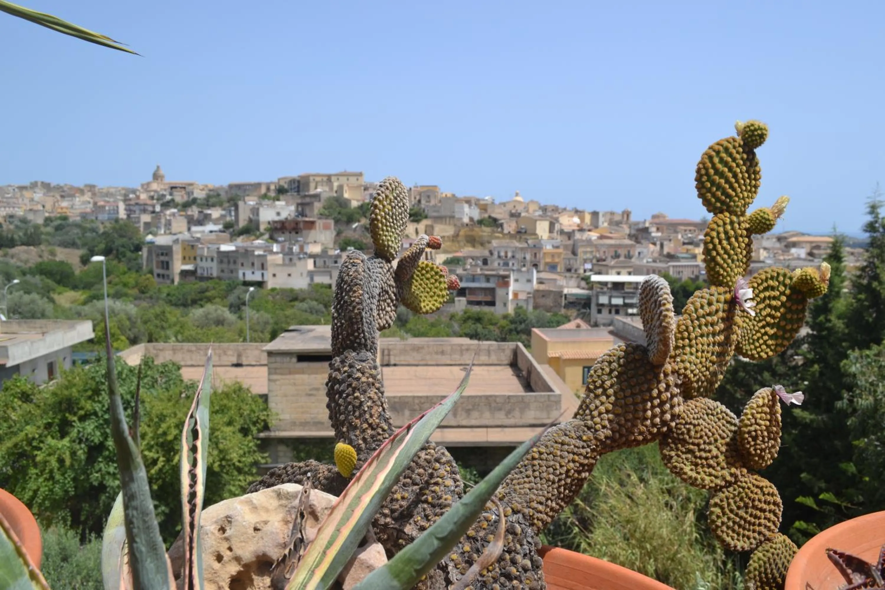 City view in Villa Ambra B&B