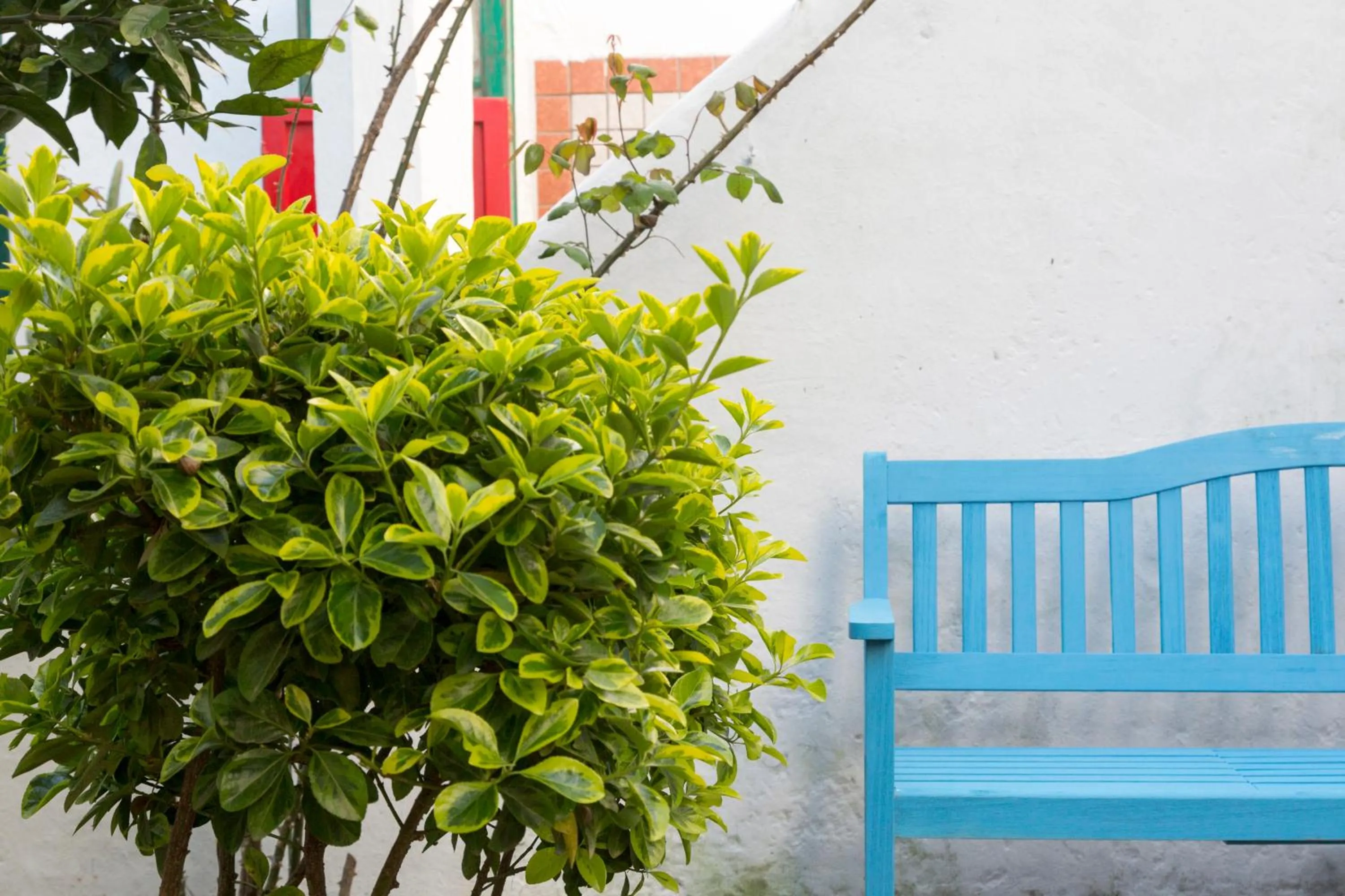 Garden in Relais San Martino - Salento