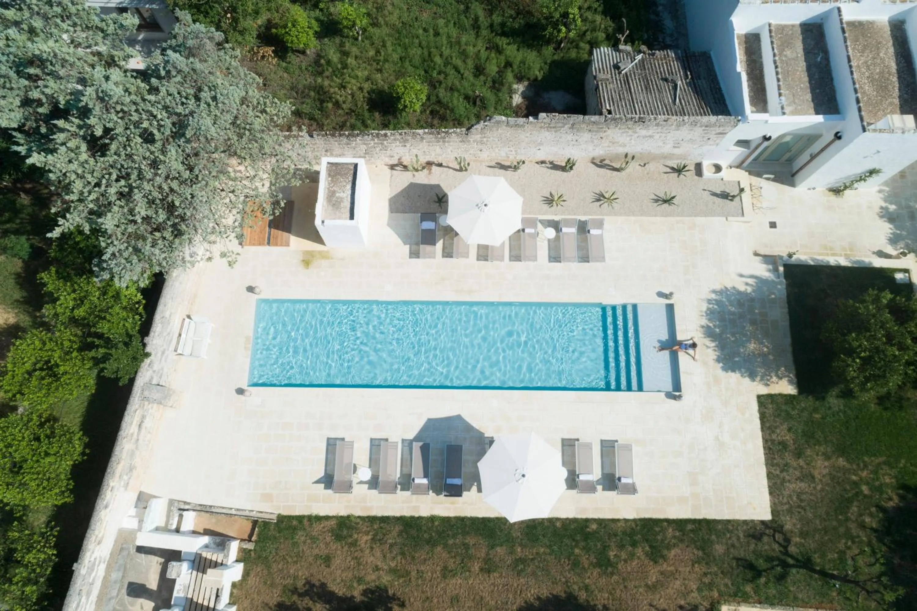 Swimming pool in Relais San Martino - Salento