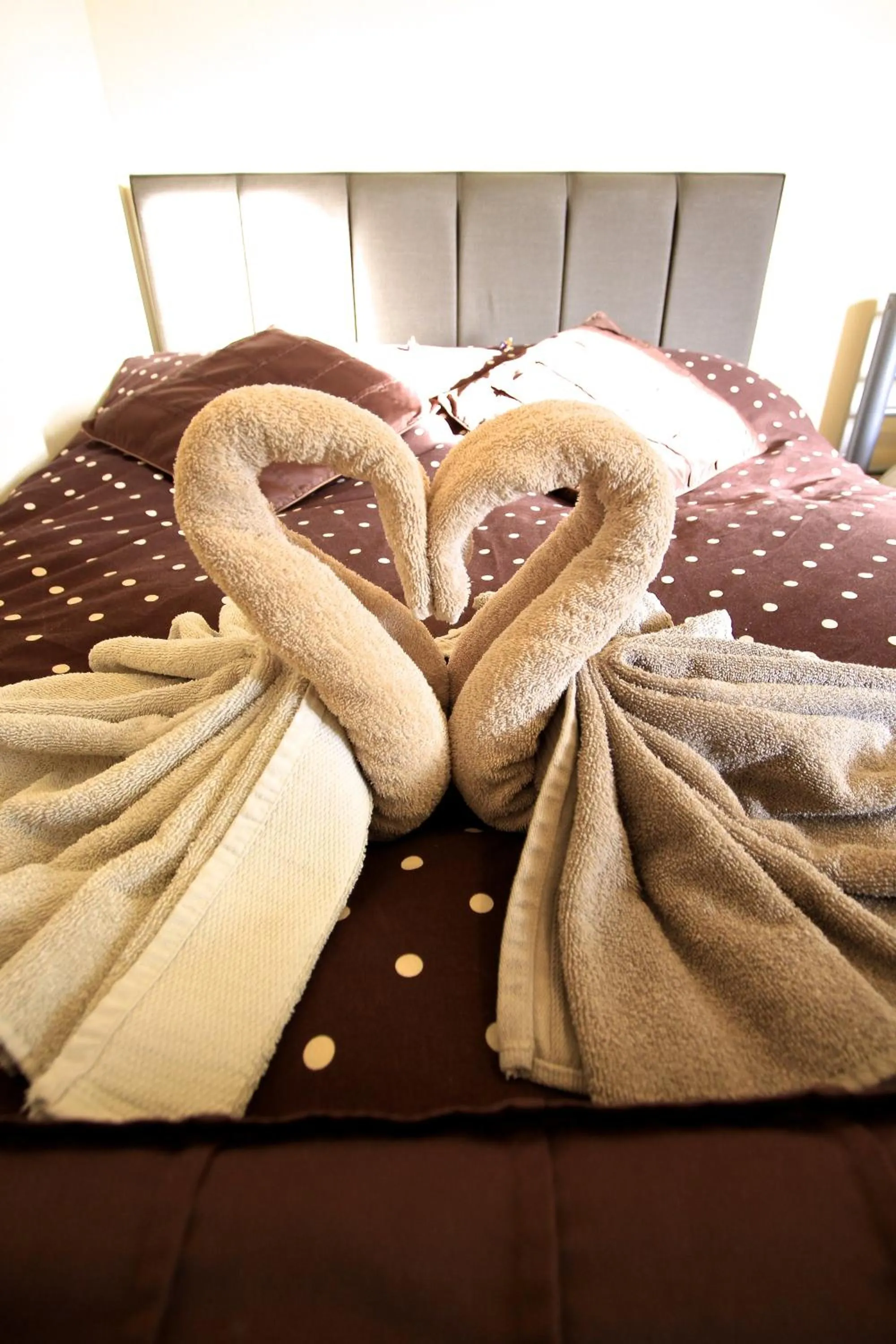 Bed in Beaconsfield Hotel