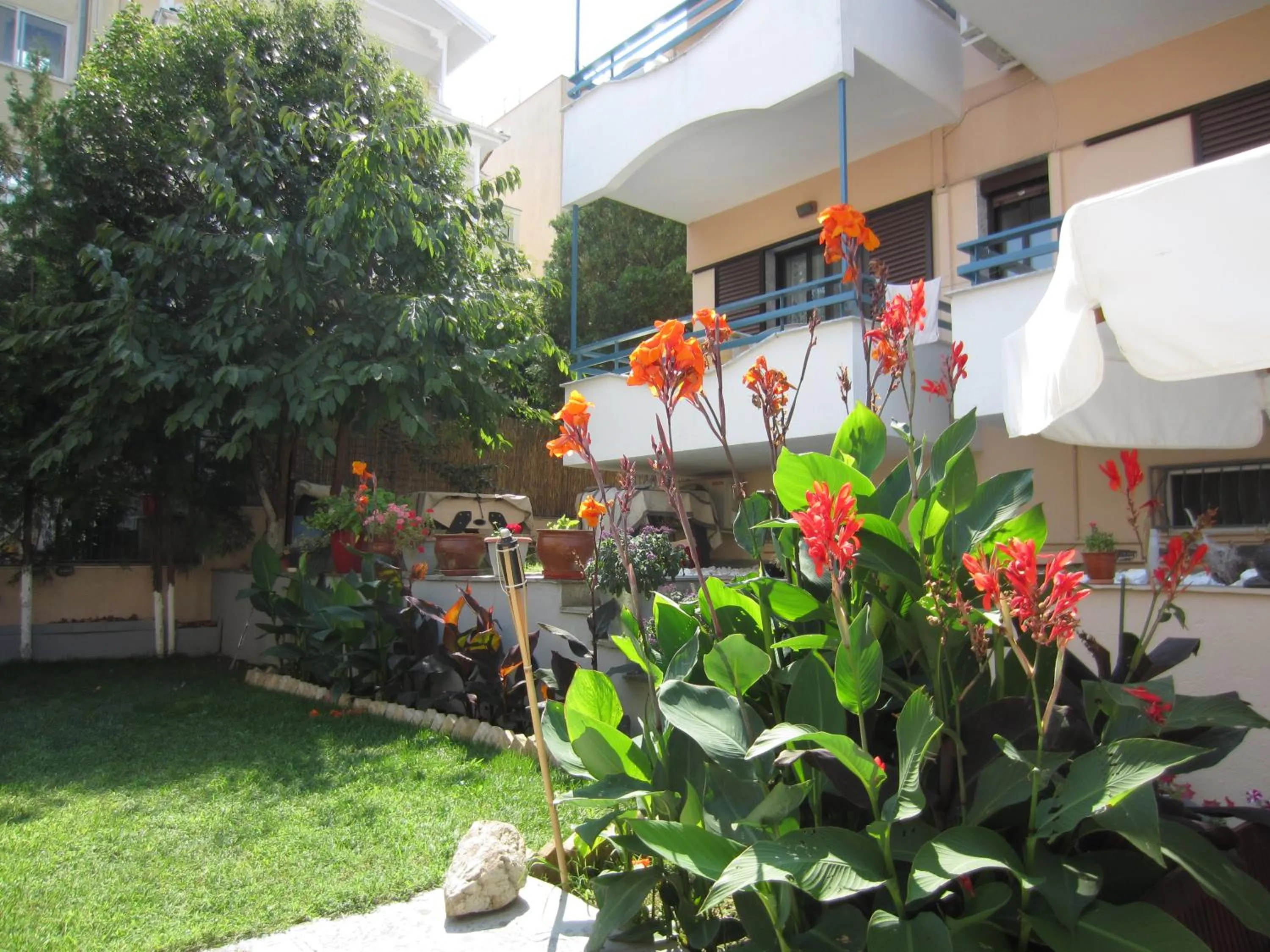 Vivi Apartments