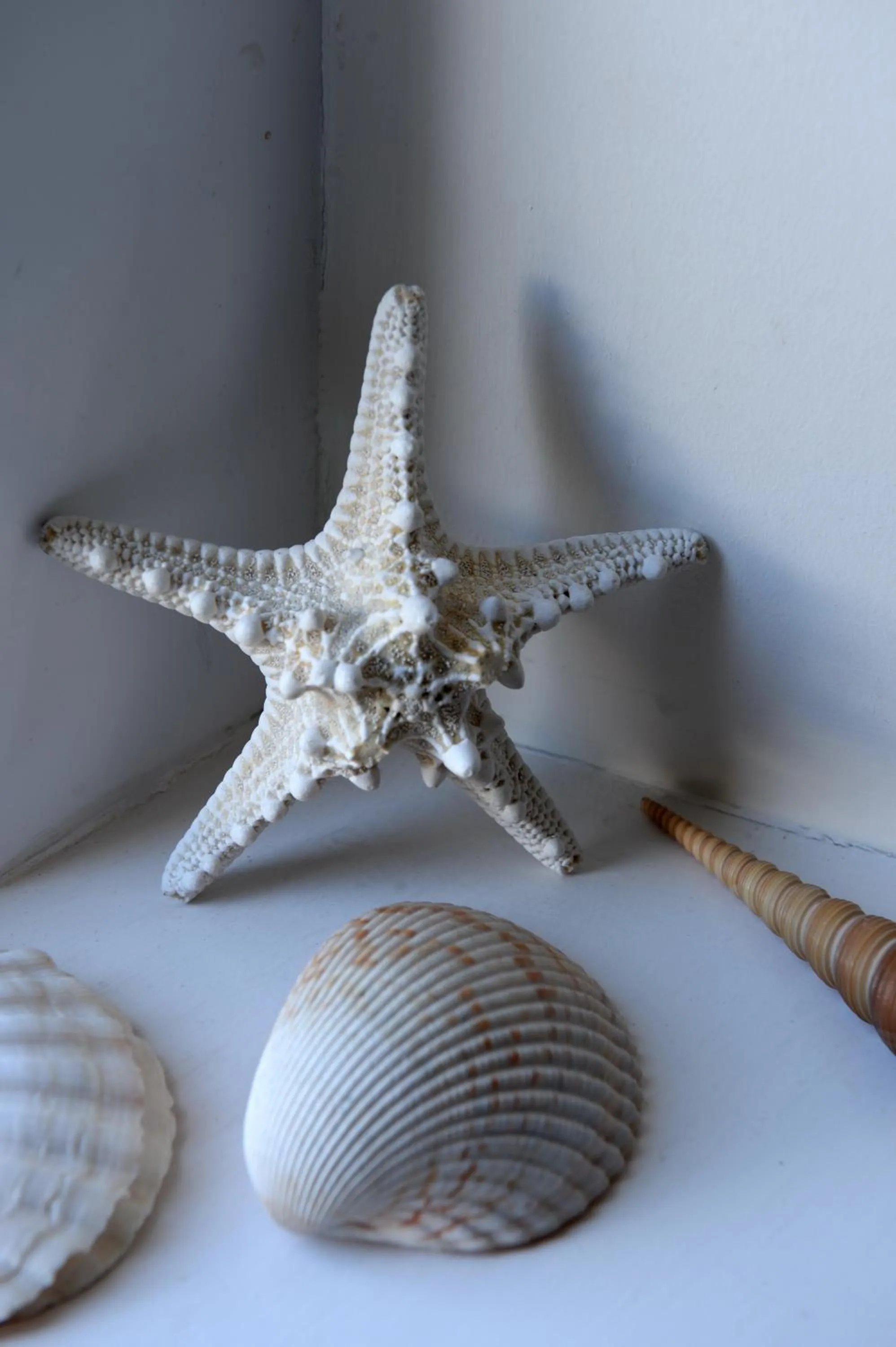 Decorative detail in Tides Reach Guest House