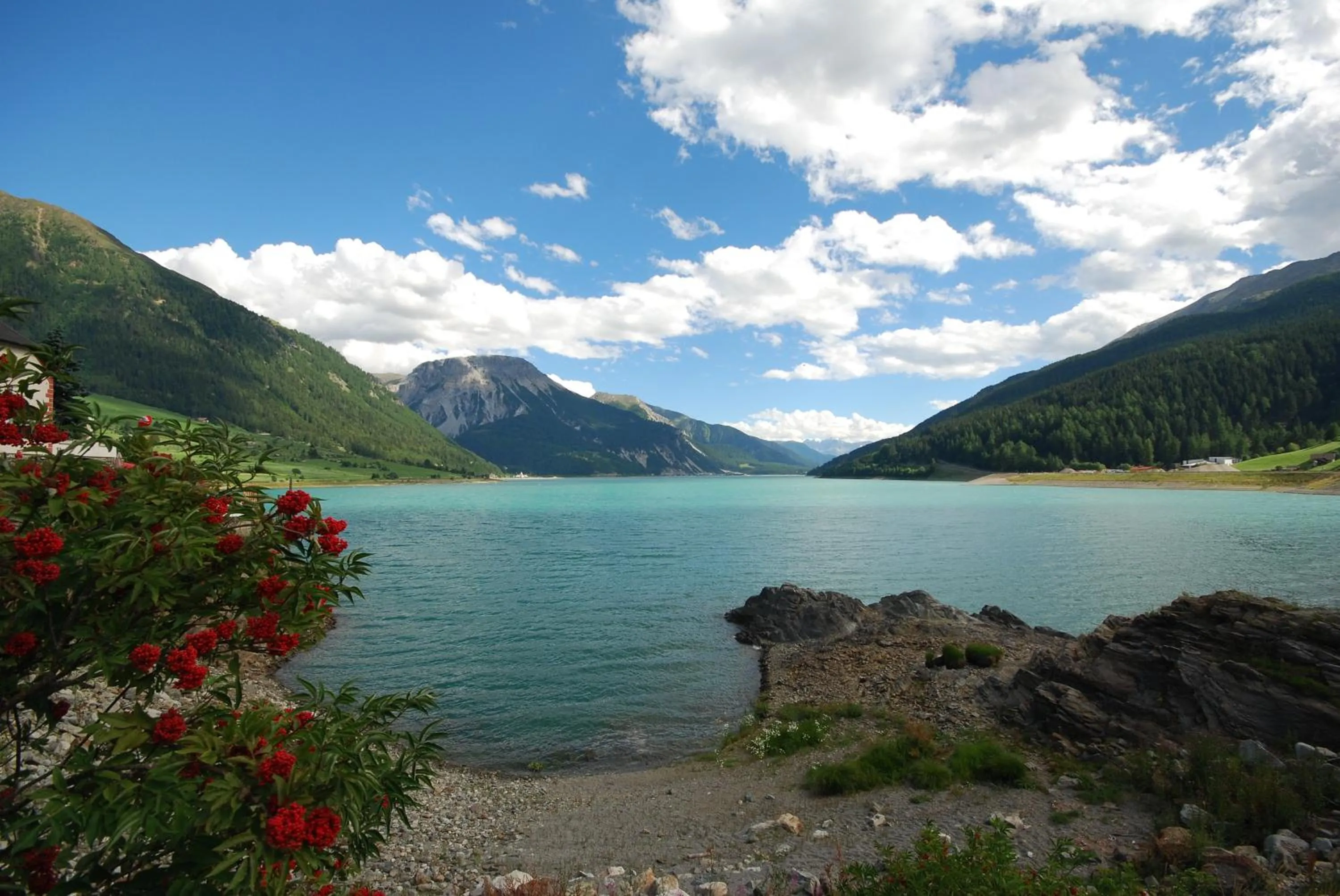 Natural landscape in Aparthotel Fernblick