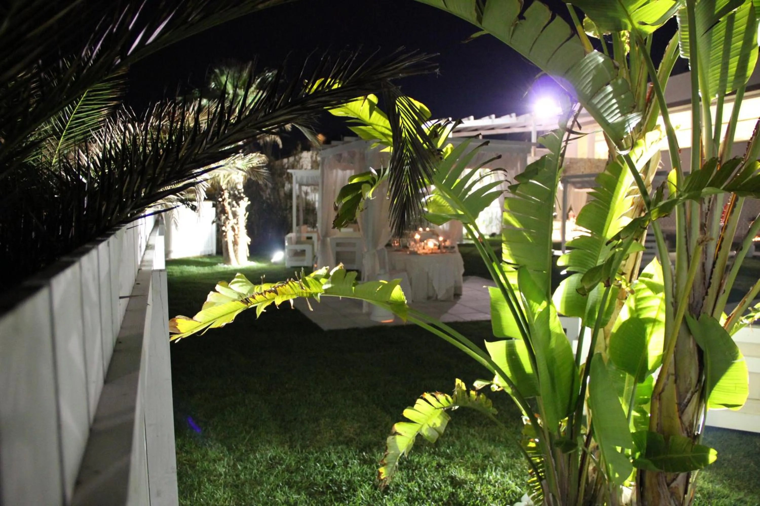 Garden in Hotel Lido Torre Egnazia