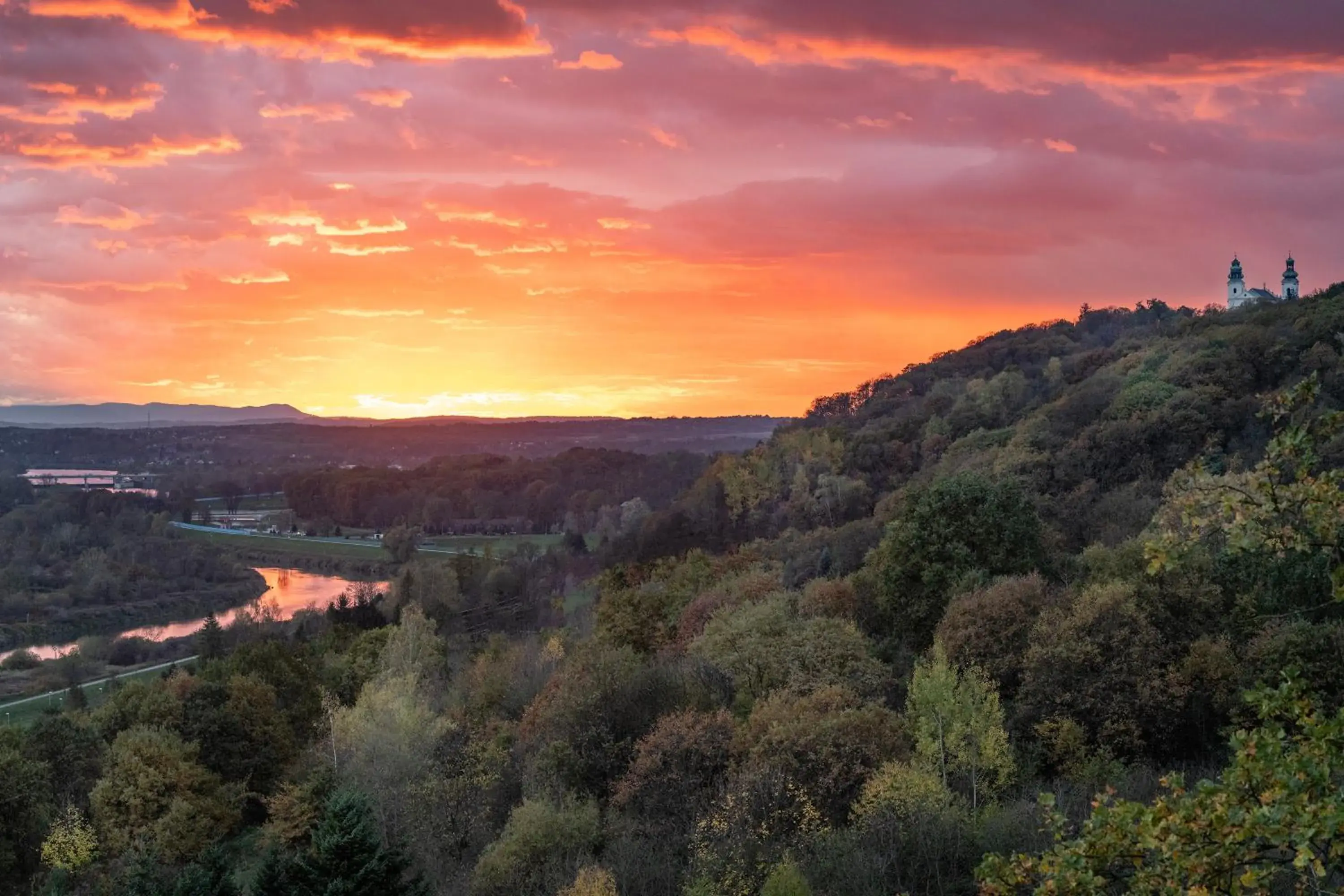 Bird's eye view in Forest Hotel Bird's eye view in Forest Hotel