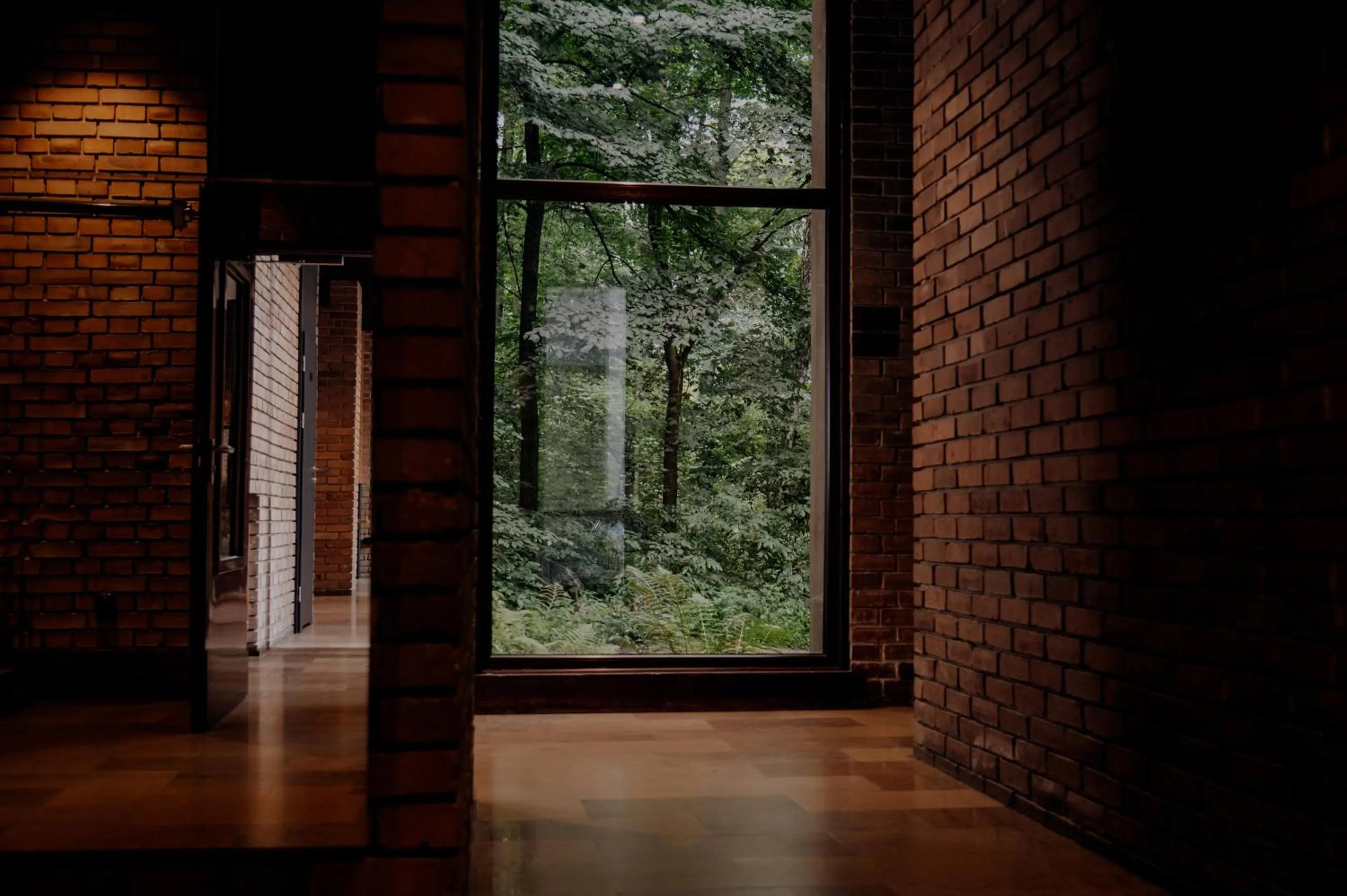 View (from property/room) in Forest Hotel