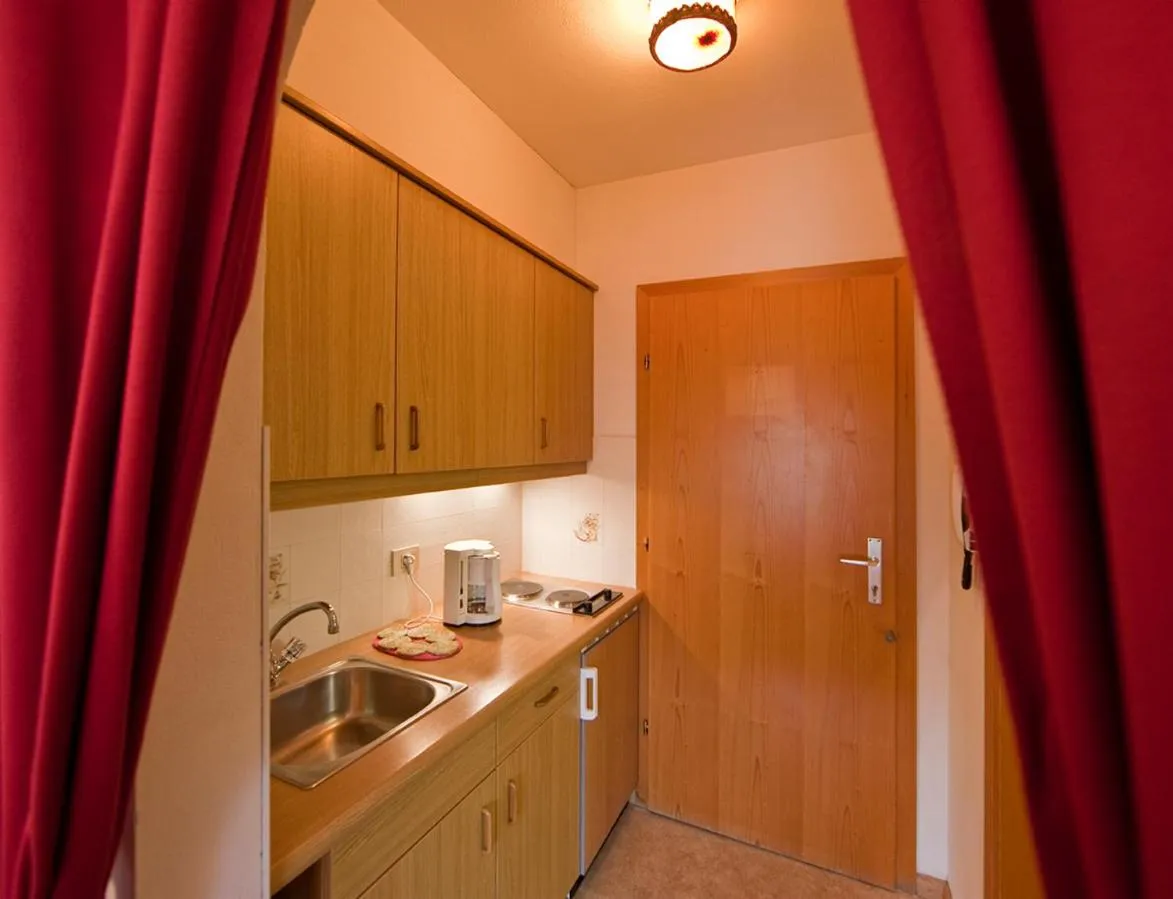Kitchen or kitchenette in Hotel Rainegg