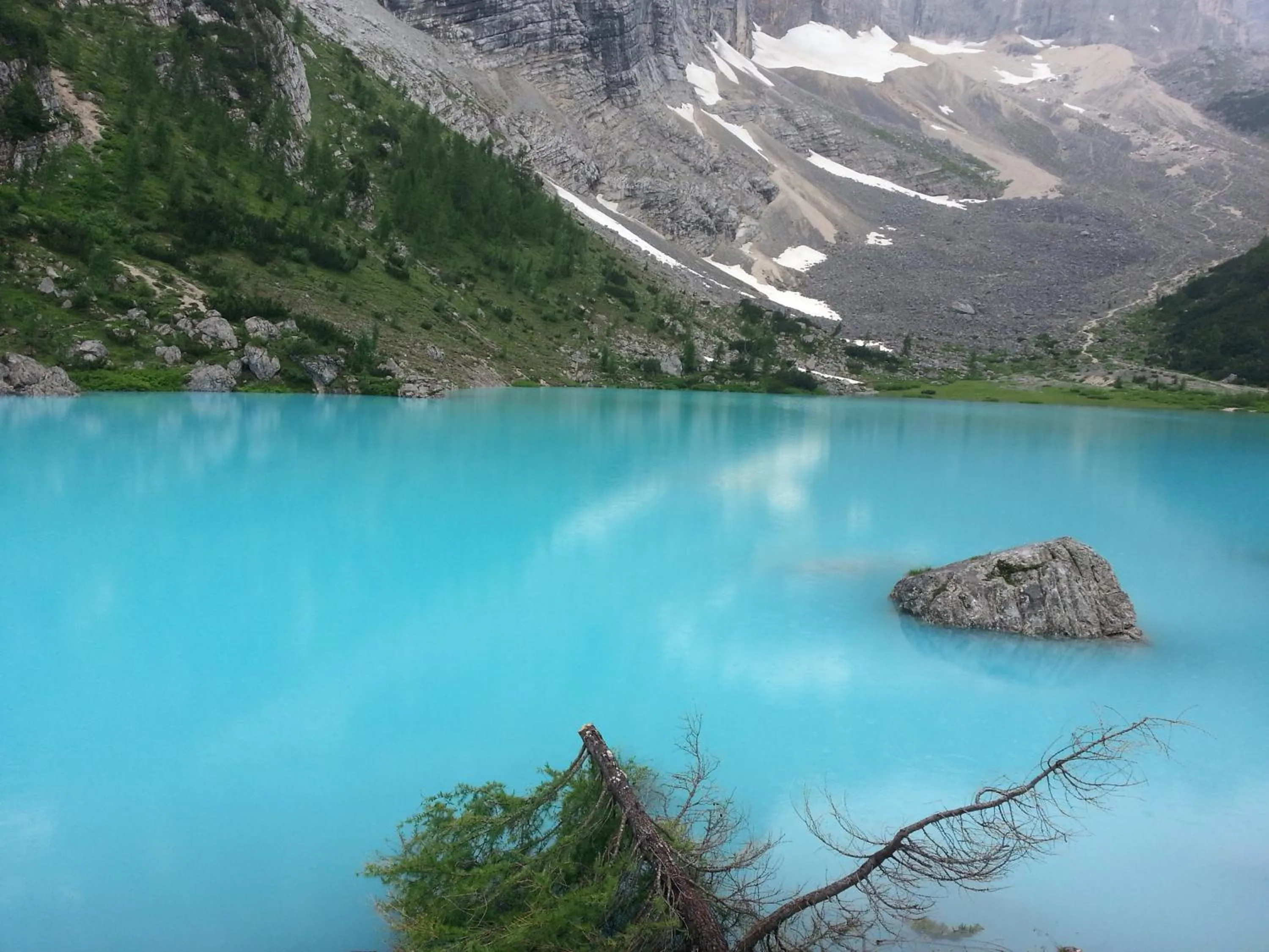 Natural landscape in Hotel Rainegg