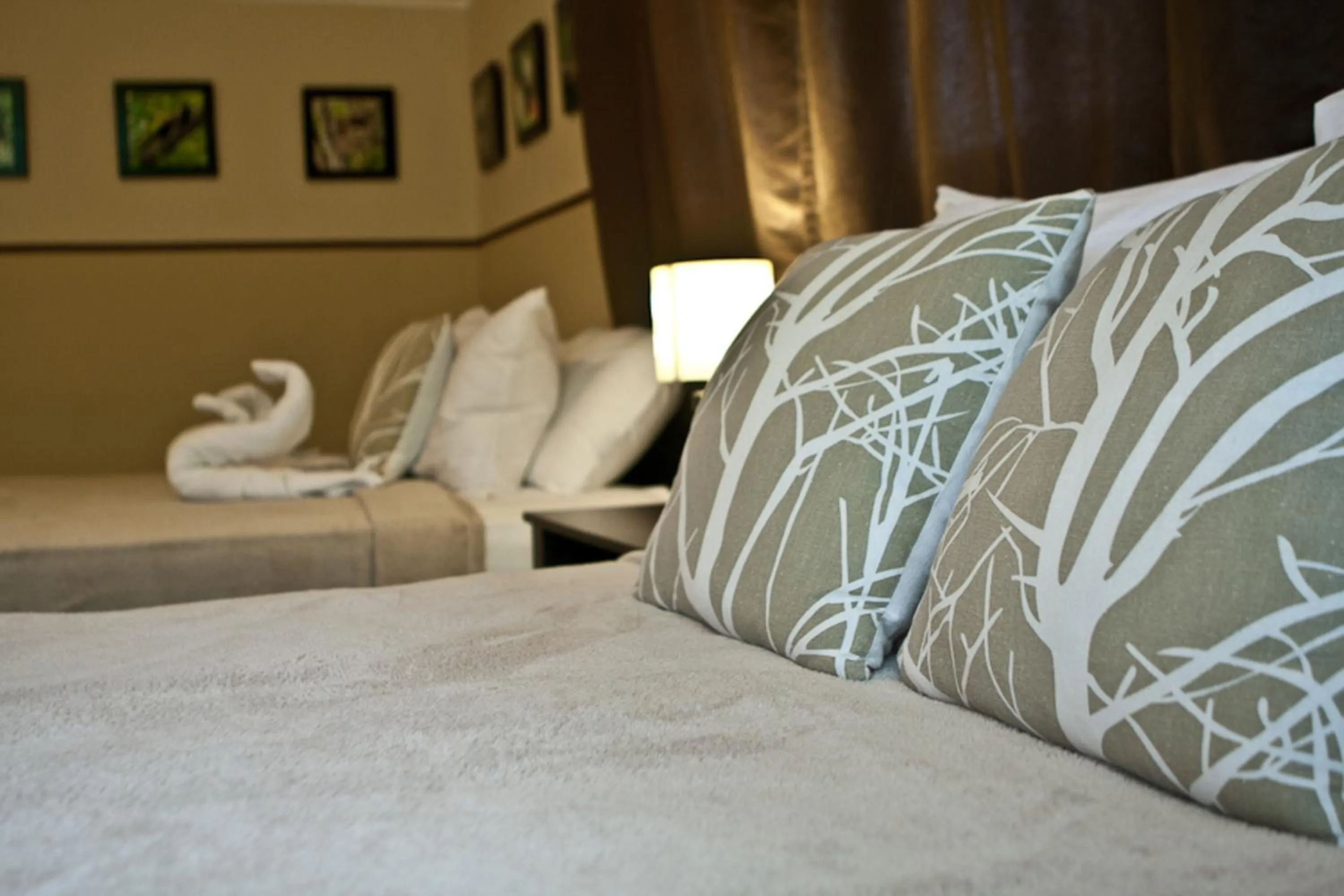 Photo of the whole room, Bed in Manglar Lodge