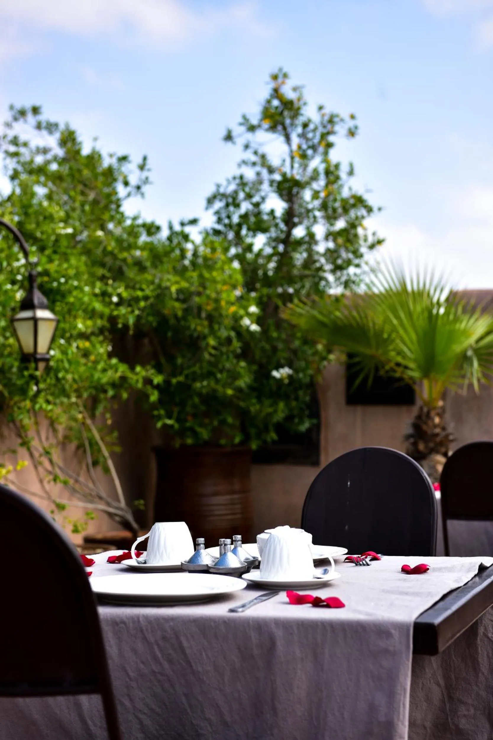 Restaurant/places to eat in Dar Darma