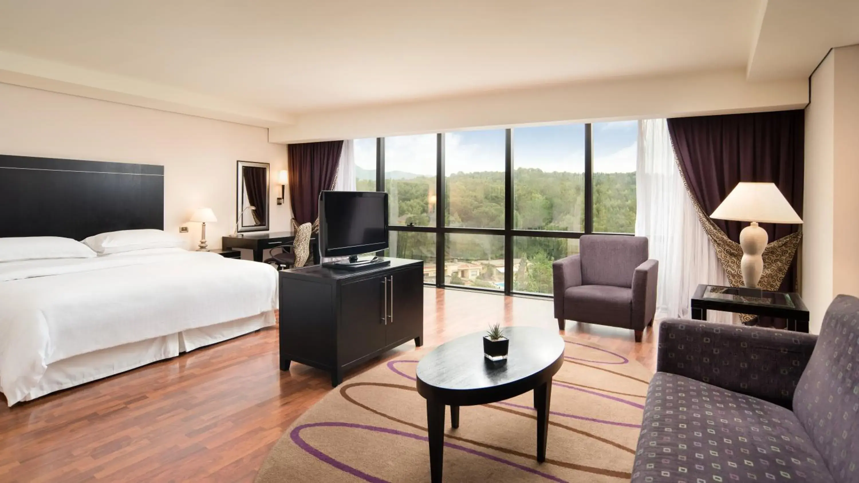 Junior Suite - single occupancy in Mak Albania Hotel Junior Suite - single occupancy in Mak Albania Hotel