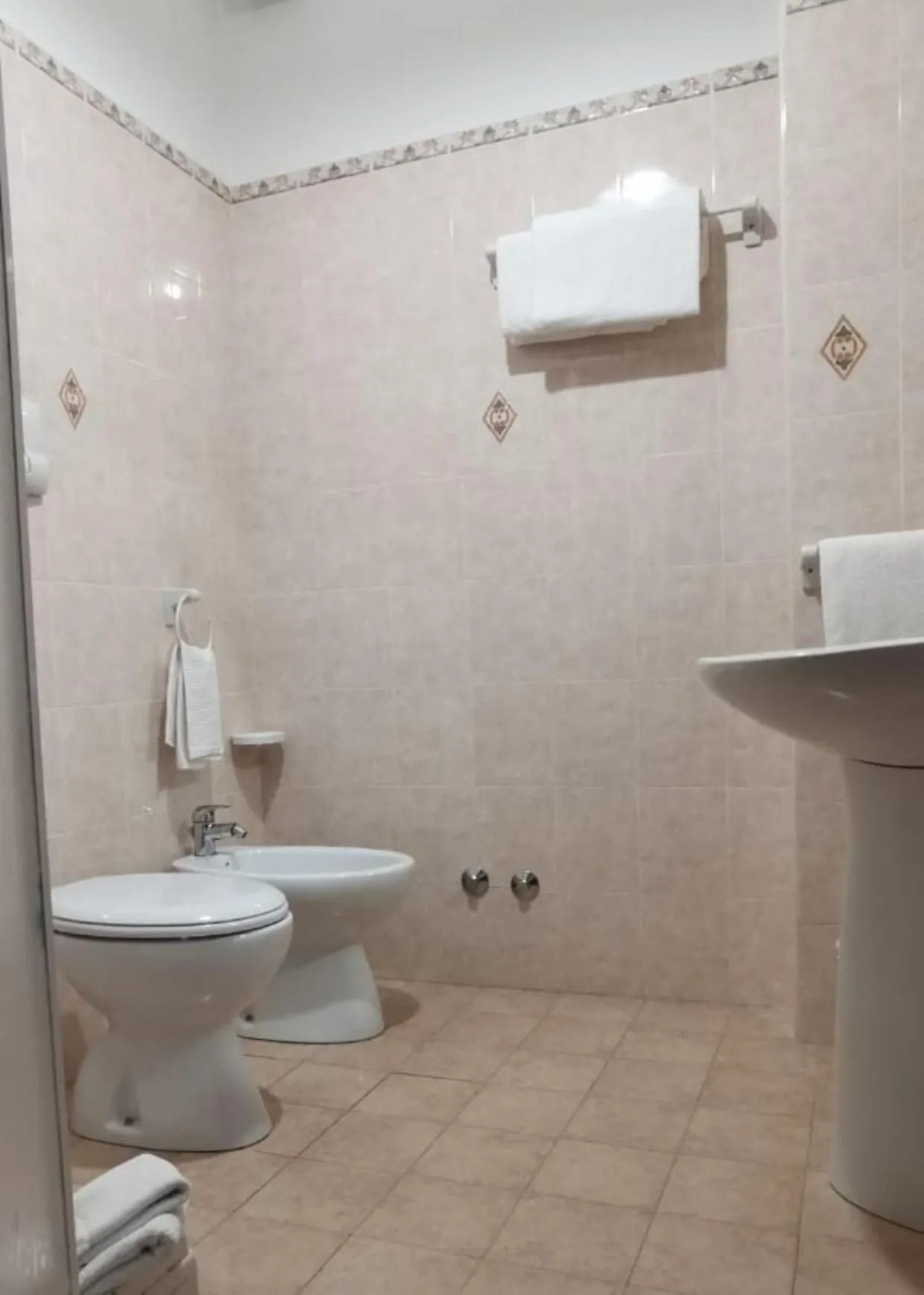 Toilet in Hotel Edelweiss