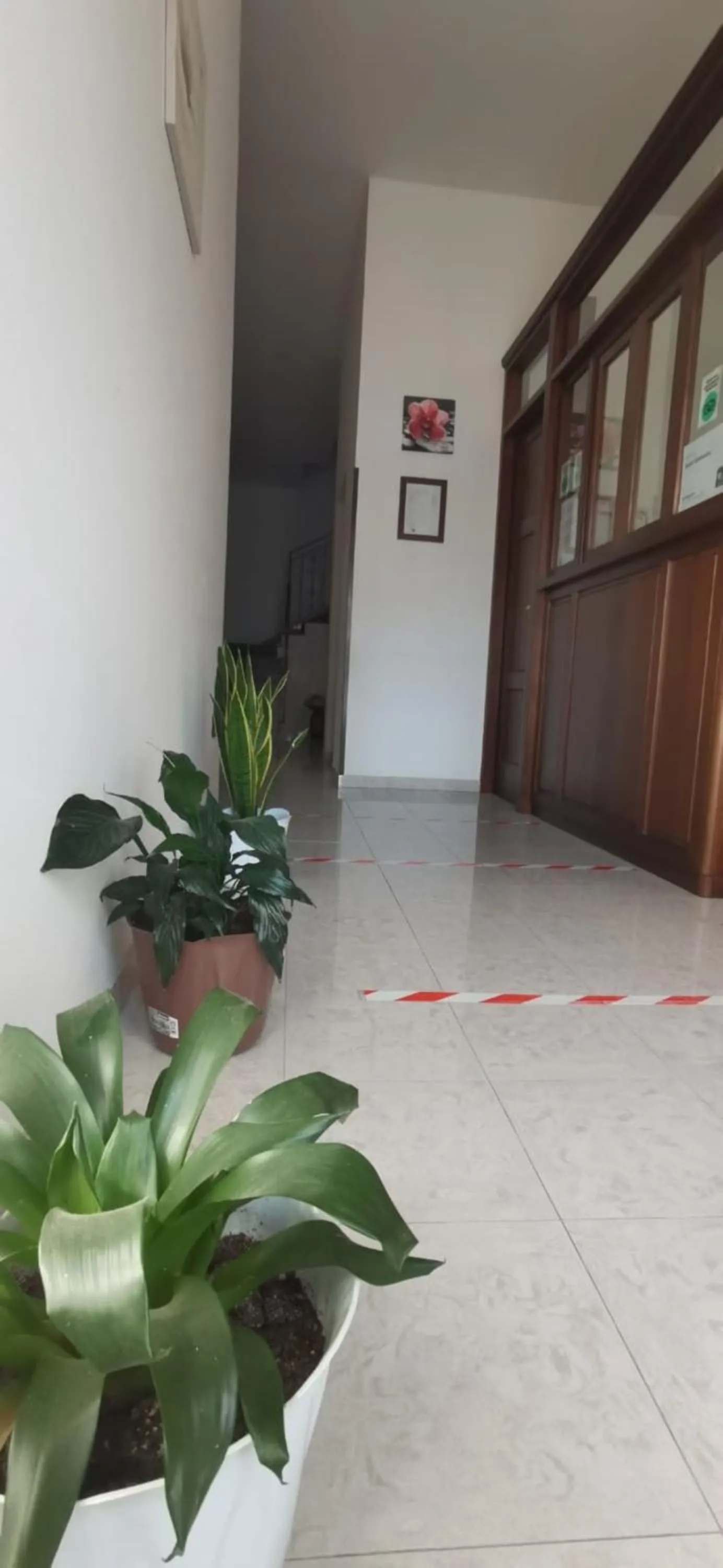 Lobby or reception in Hotel Edelweiss