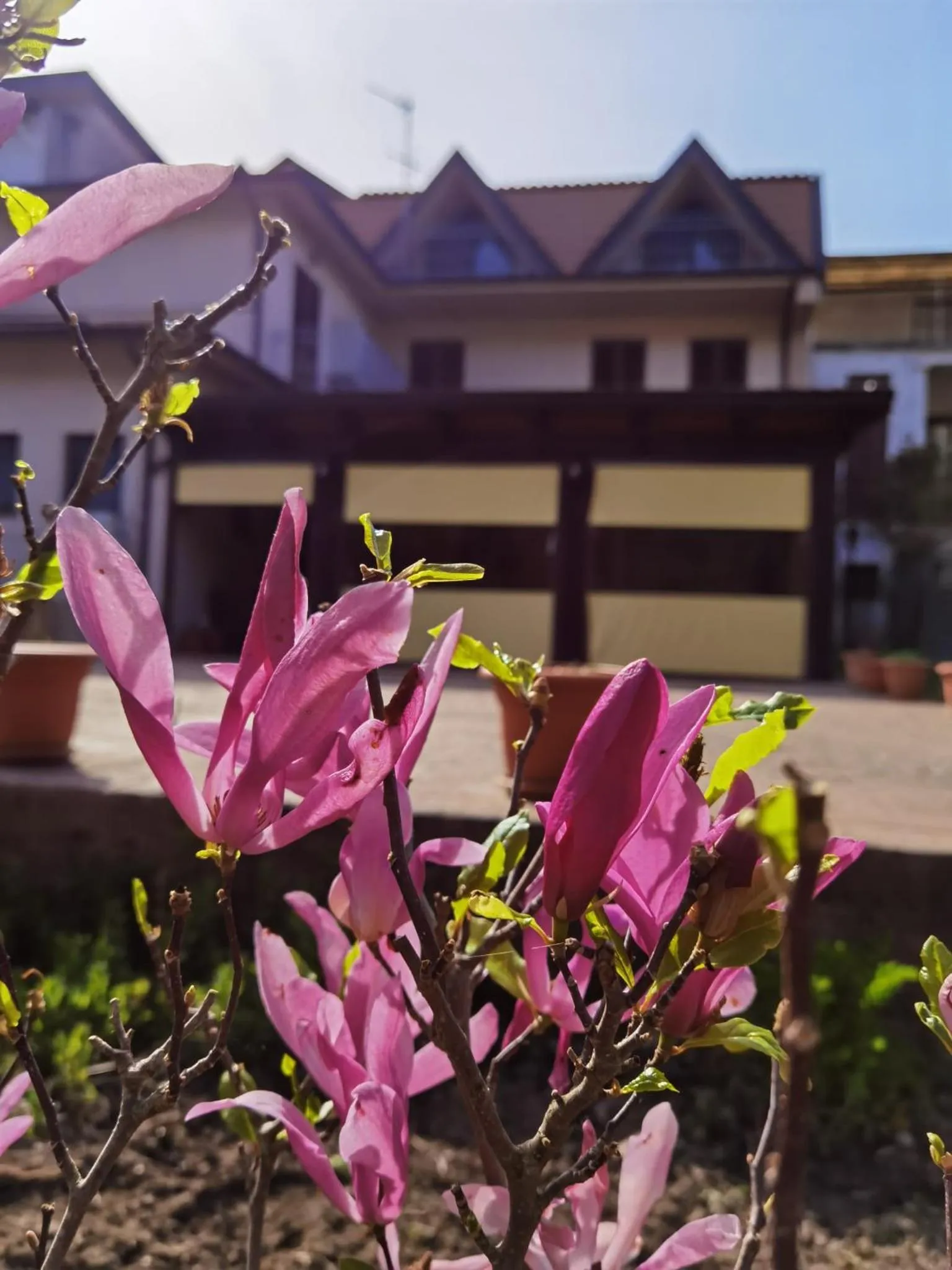 Property building in Hotel Edelweiss