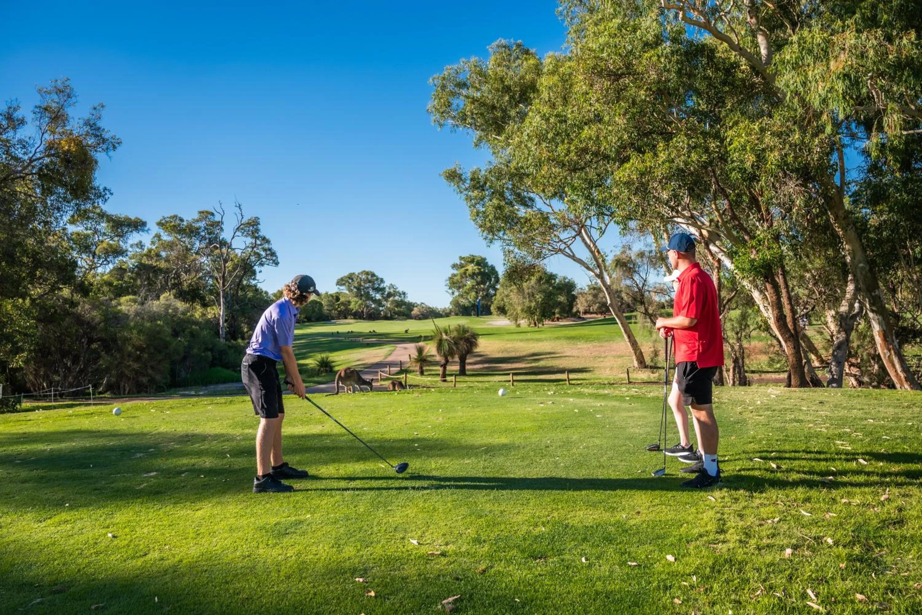 Novotel Vines Resort Swan Valley