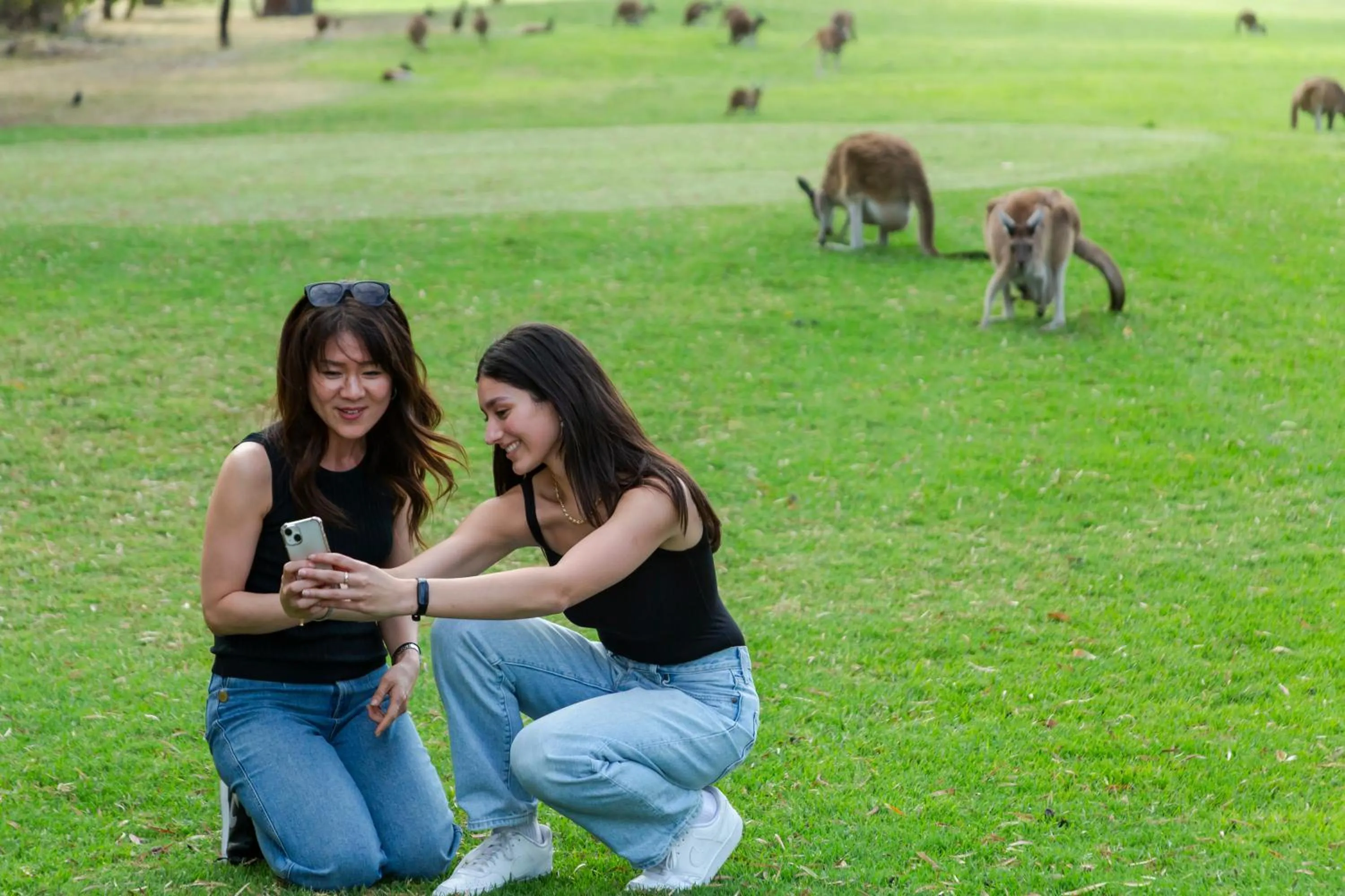 Novotel Vines Resort Swan Valley