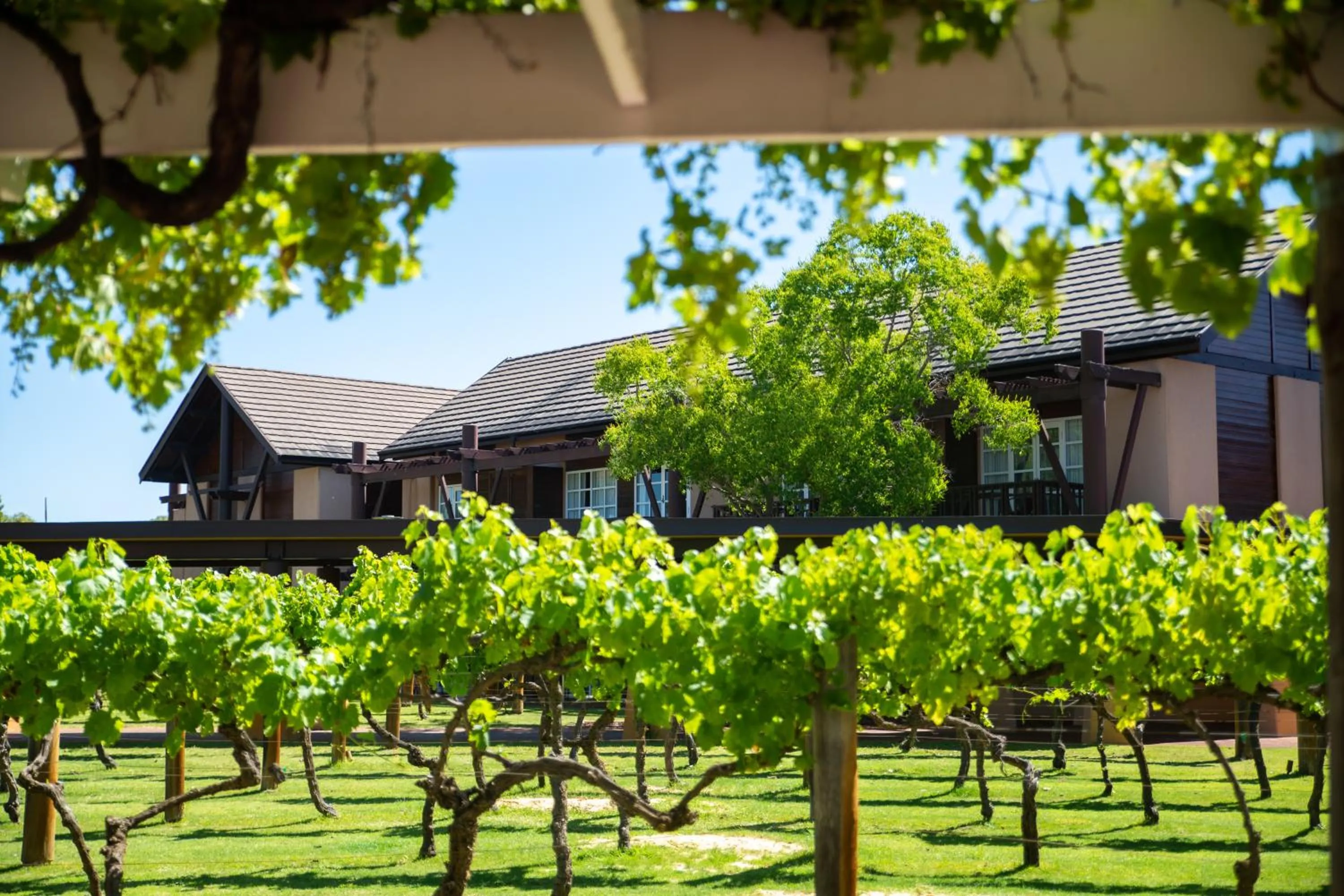 Novotel Vines Resort Swan Valley