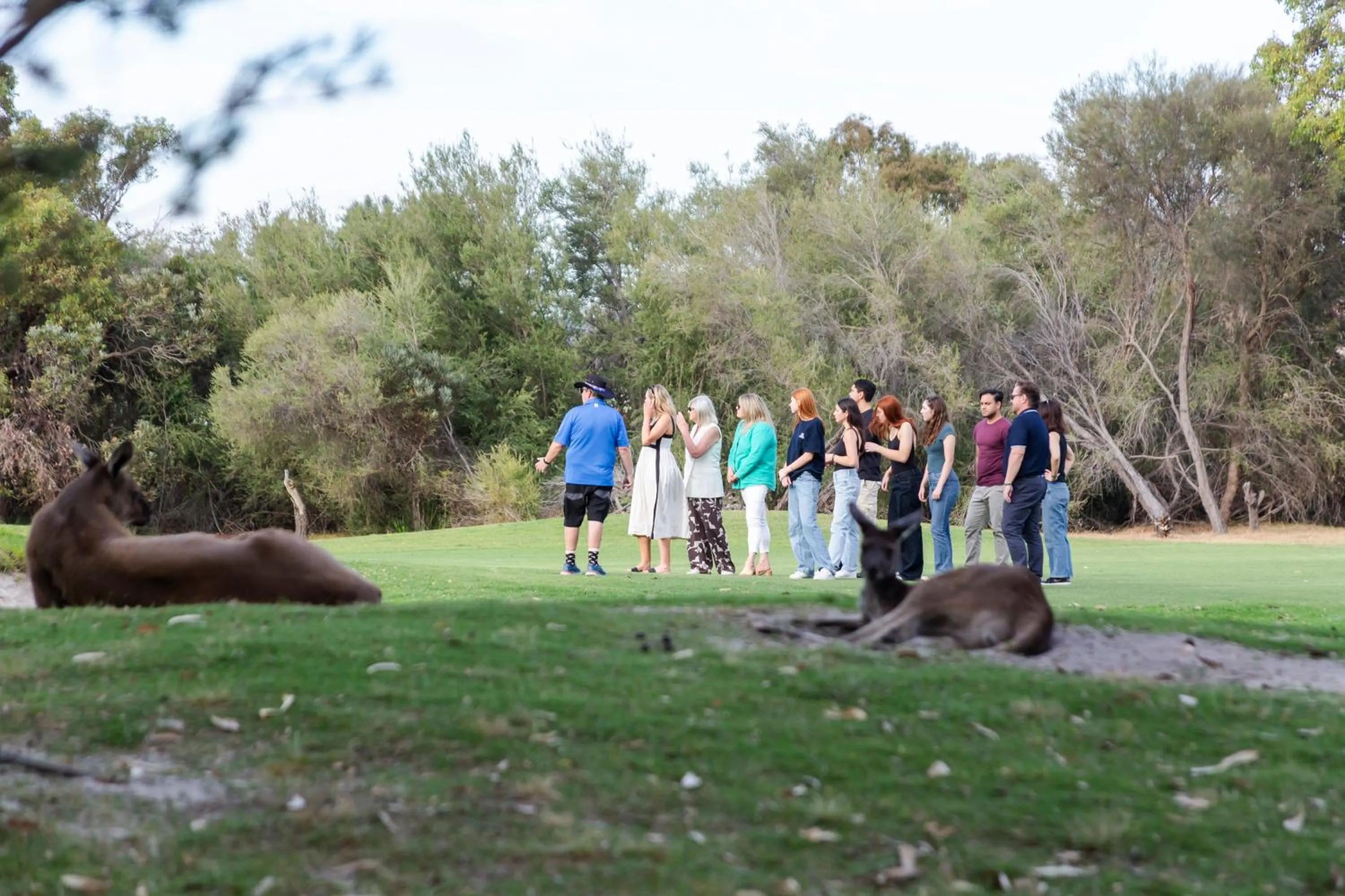 Novotel Vines Resort Swan Valley