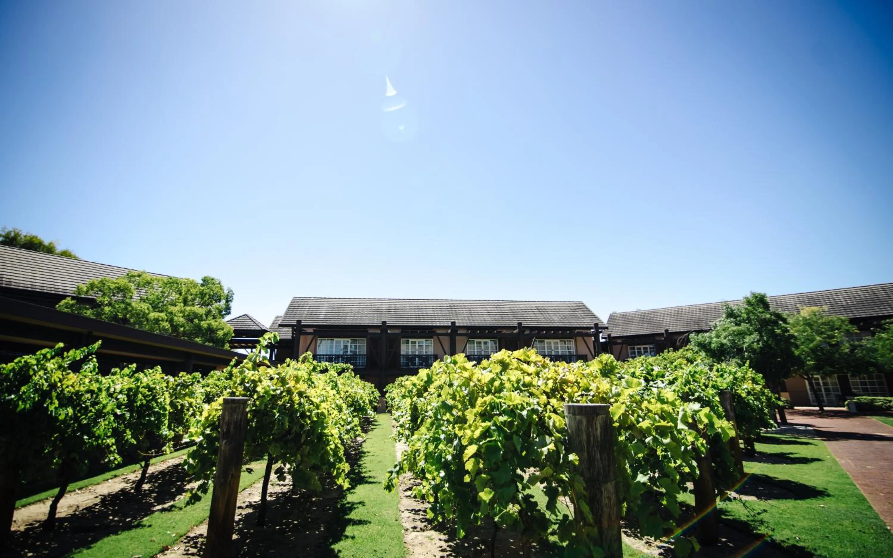 Novotel Vines Resort Swan Valley