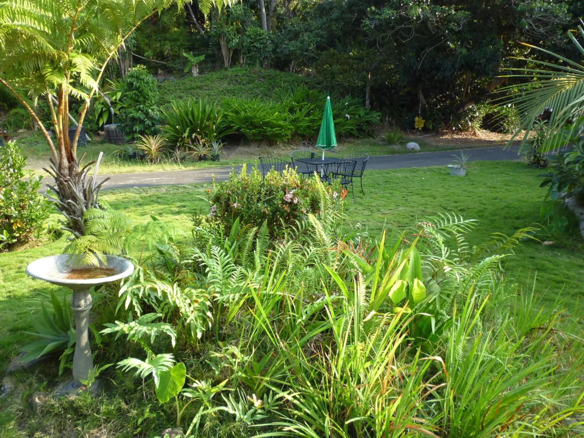 Garden in A Beautiful Edge of the World Bed & Breakfast